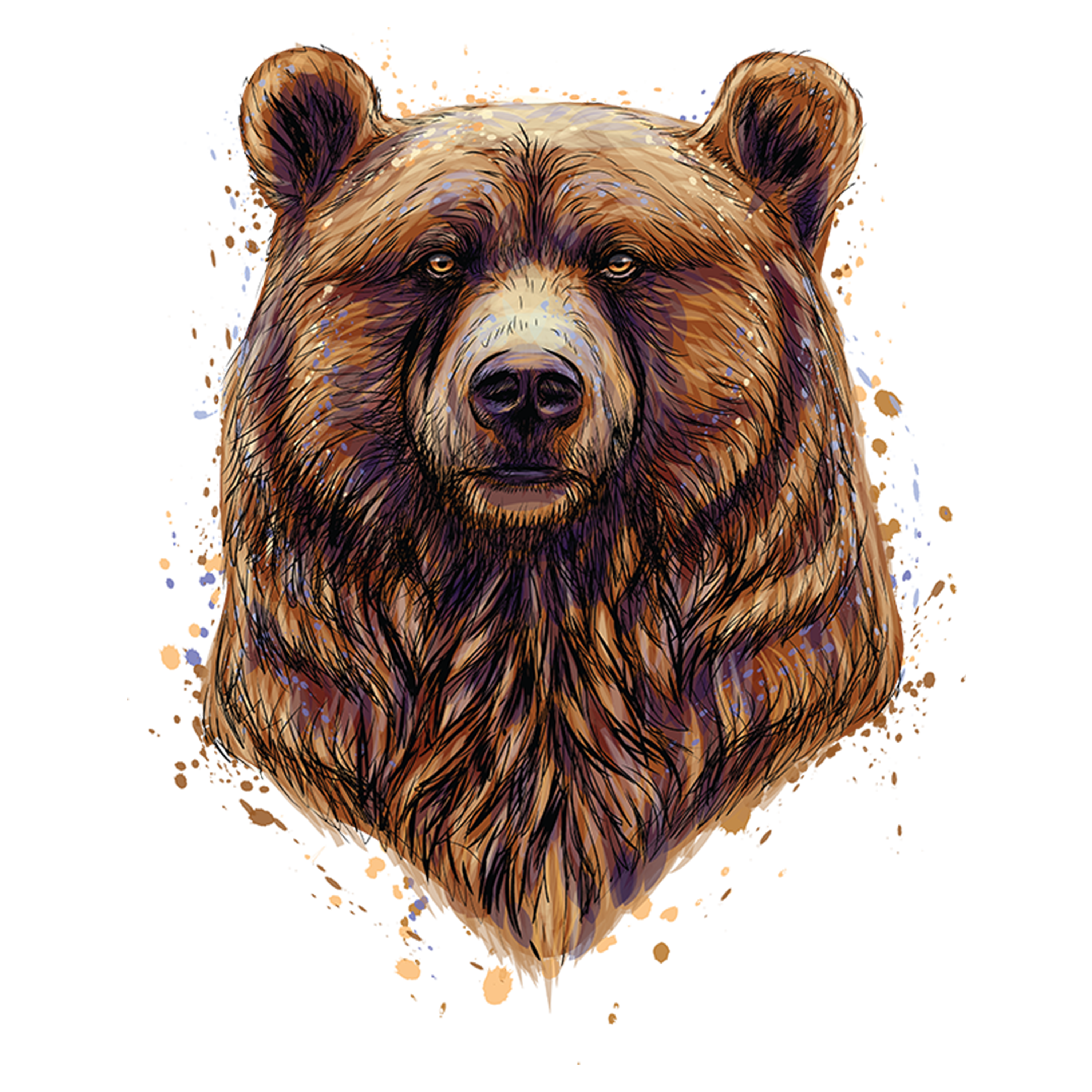 Brown bear