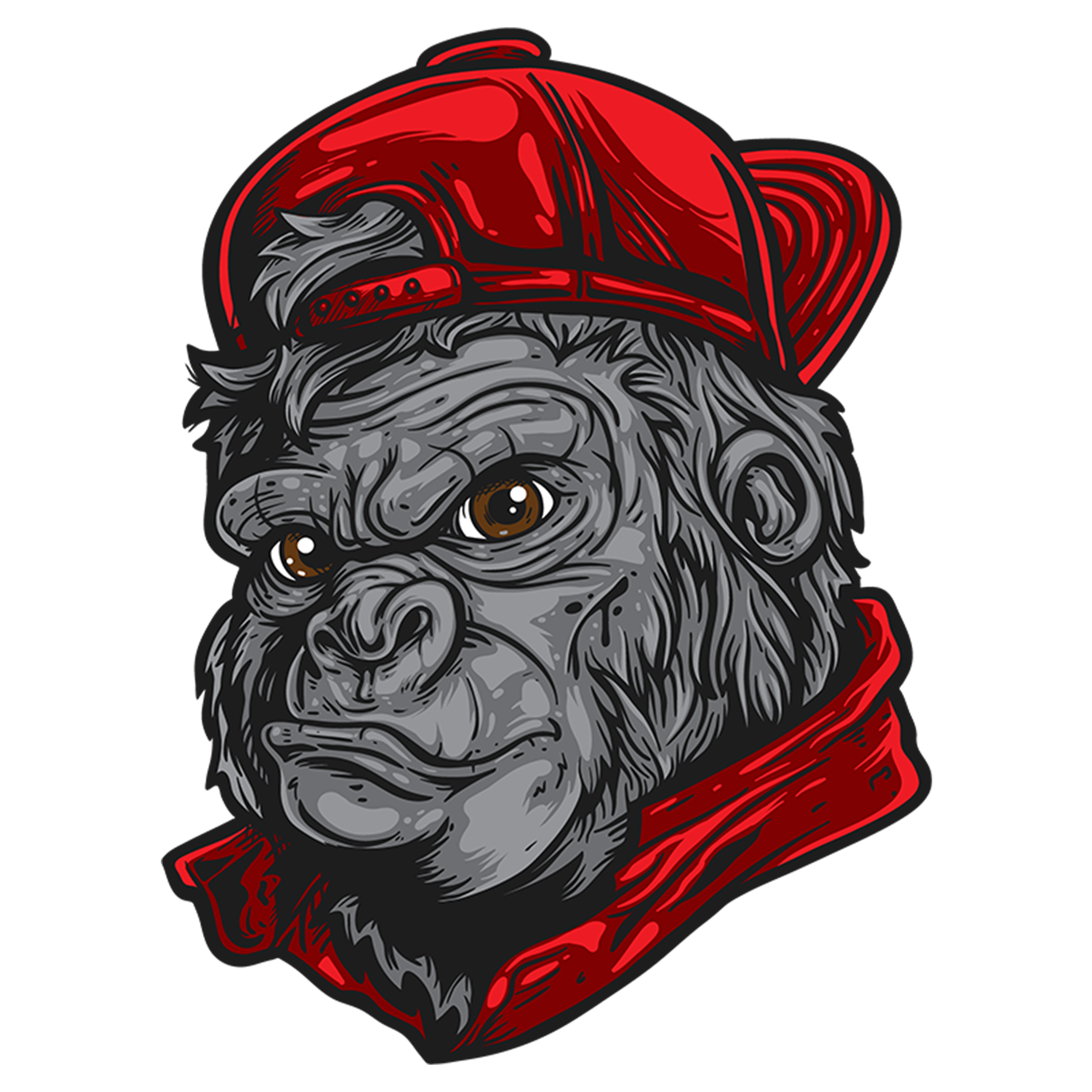 Gorilla