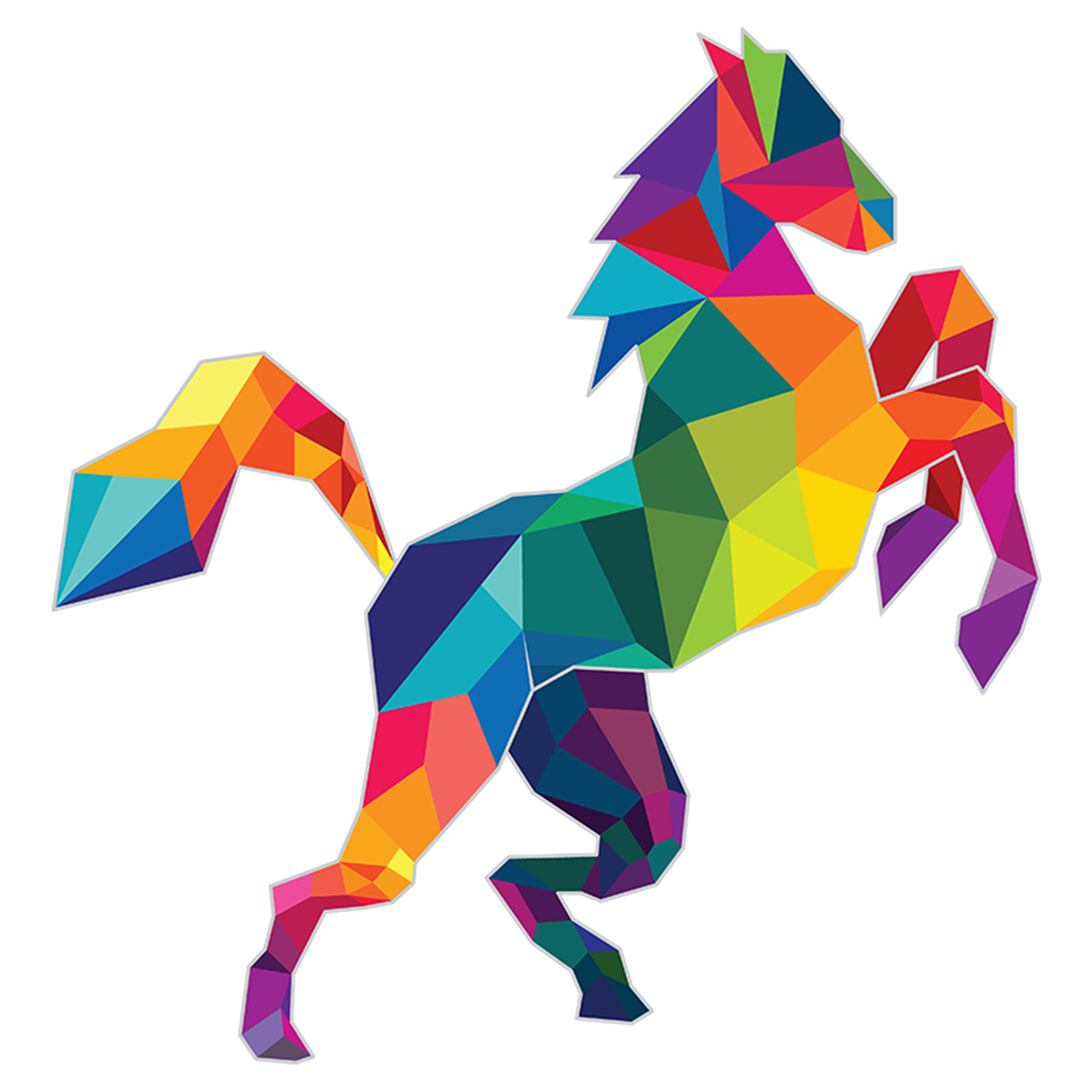 Rainbow horse