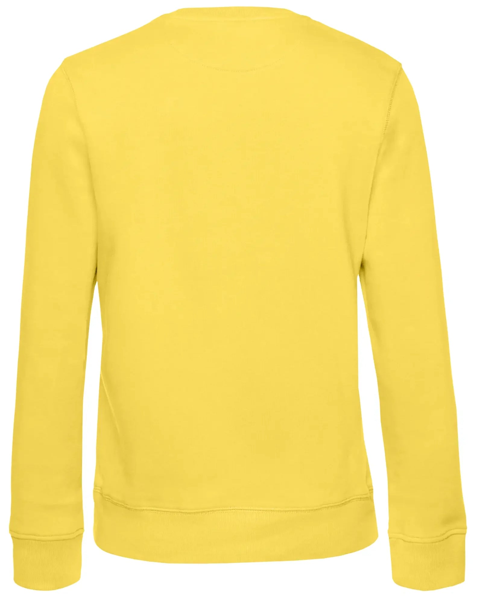 bundle-src:https://cdn.shopify.com/s/files/1/0946/1078/4639/files/BCWW01Q_2_Back_2048x2048.webp?v=1773217929