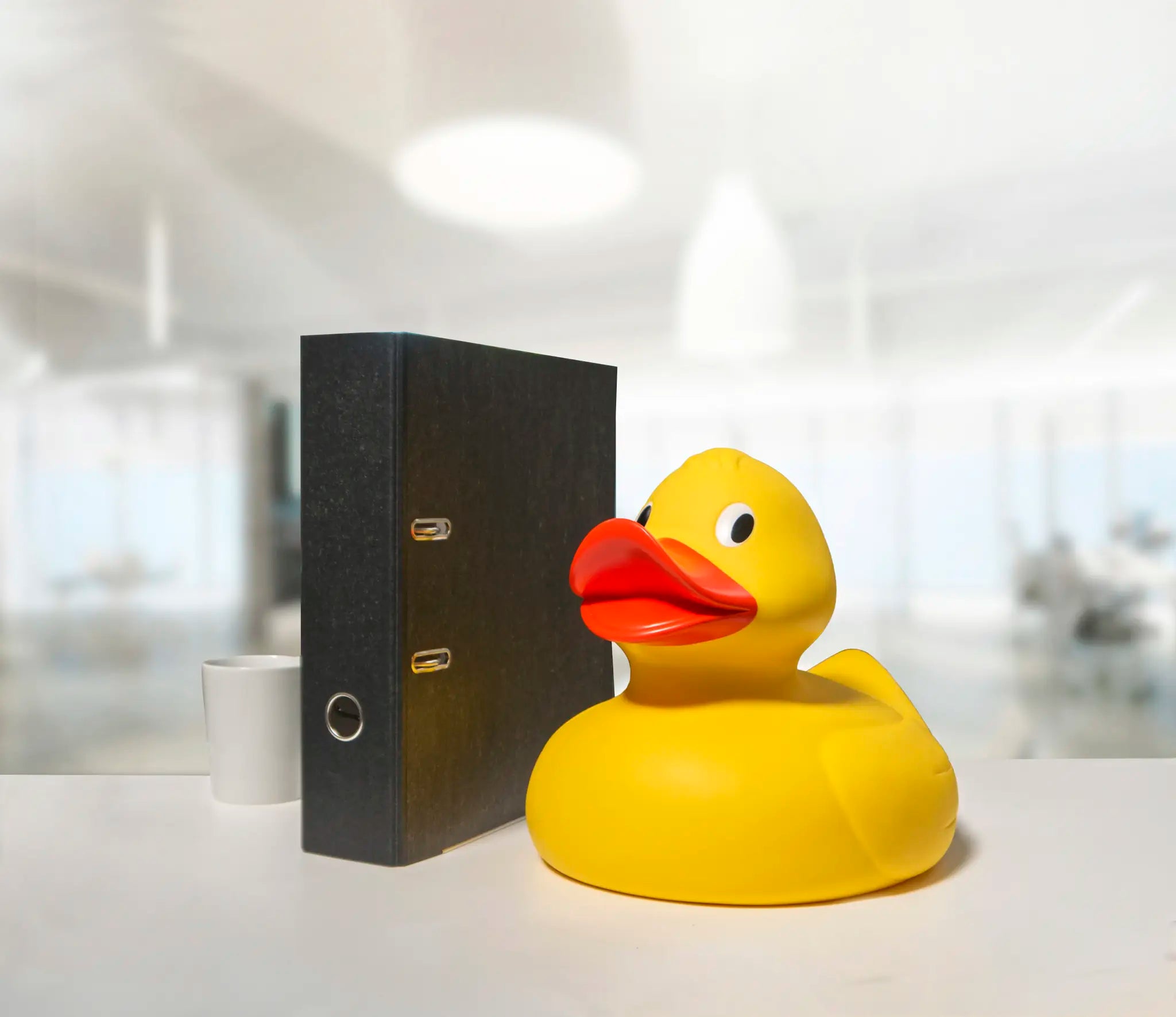 all-groups Schnabels Squeaky Duck Giant