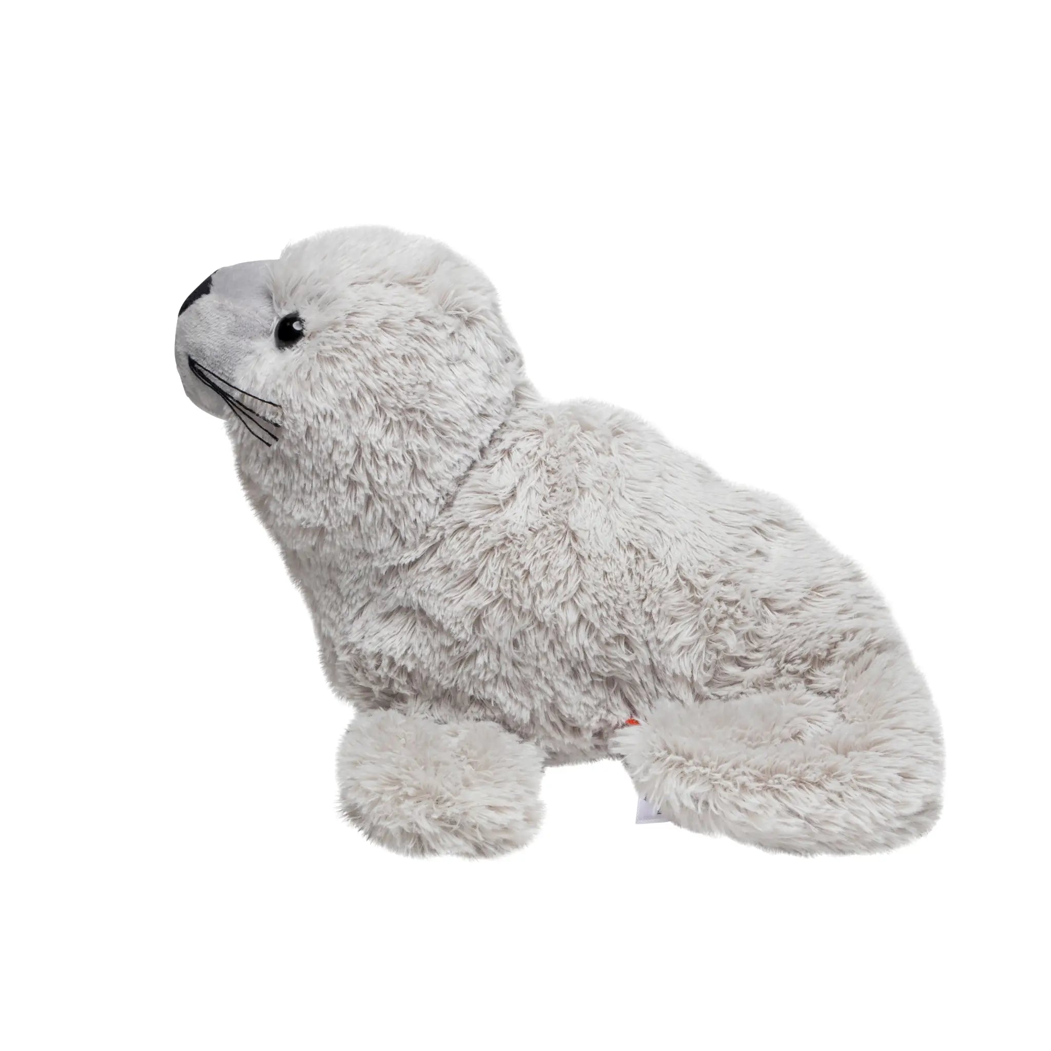 all-groups Seal Silvia