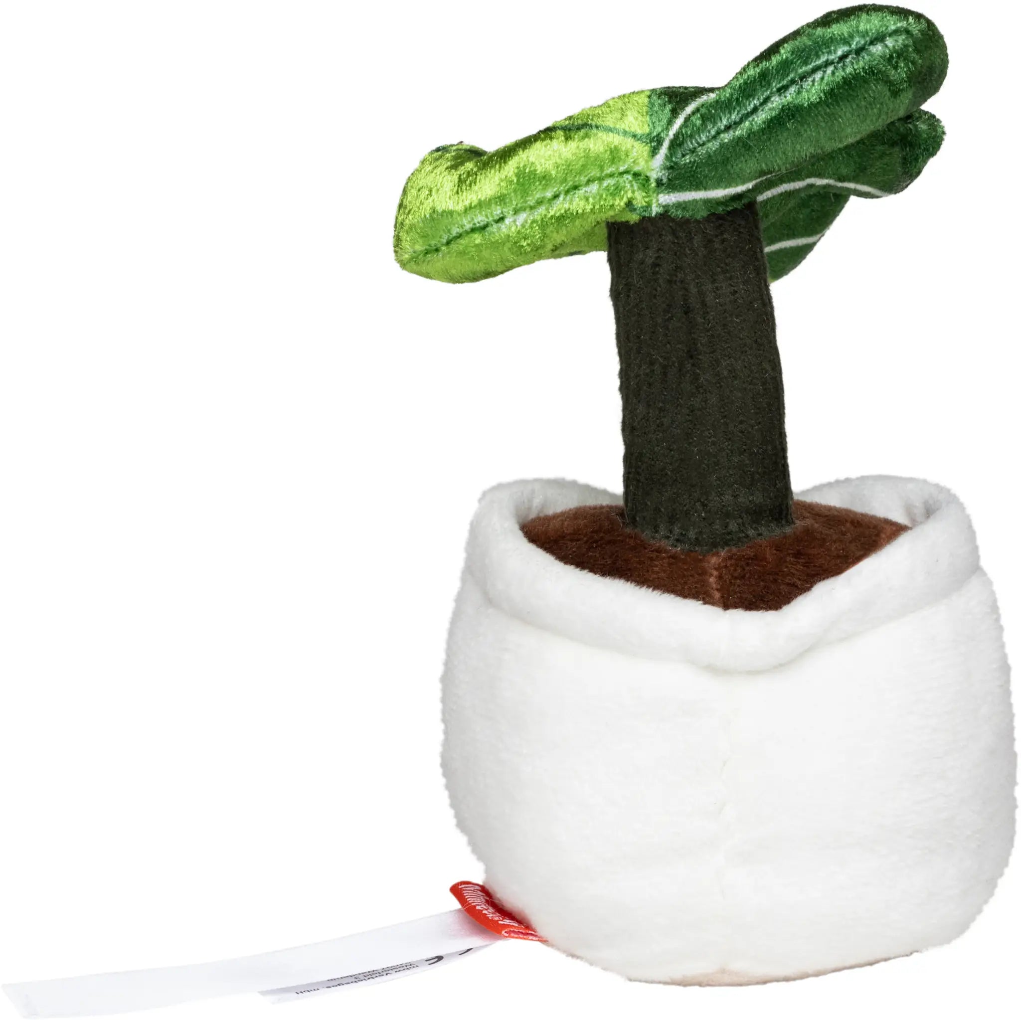 all-groups Schmoozies Evergreenies Monstera