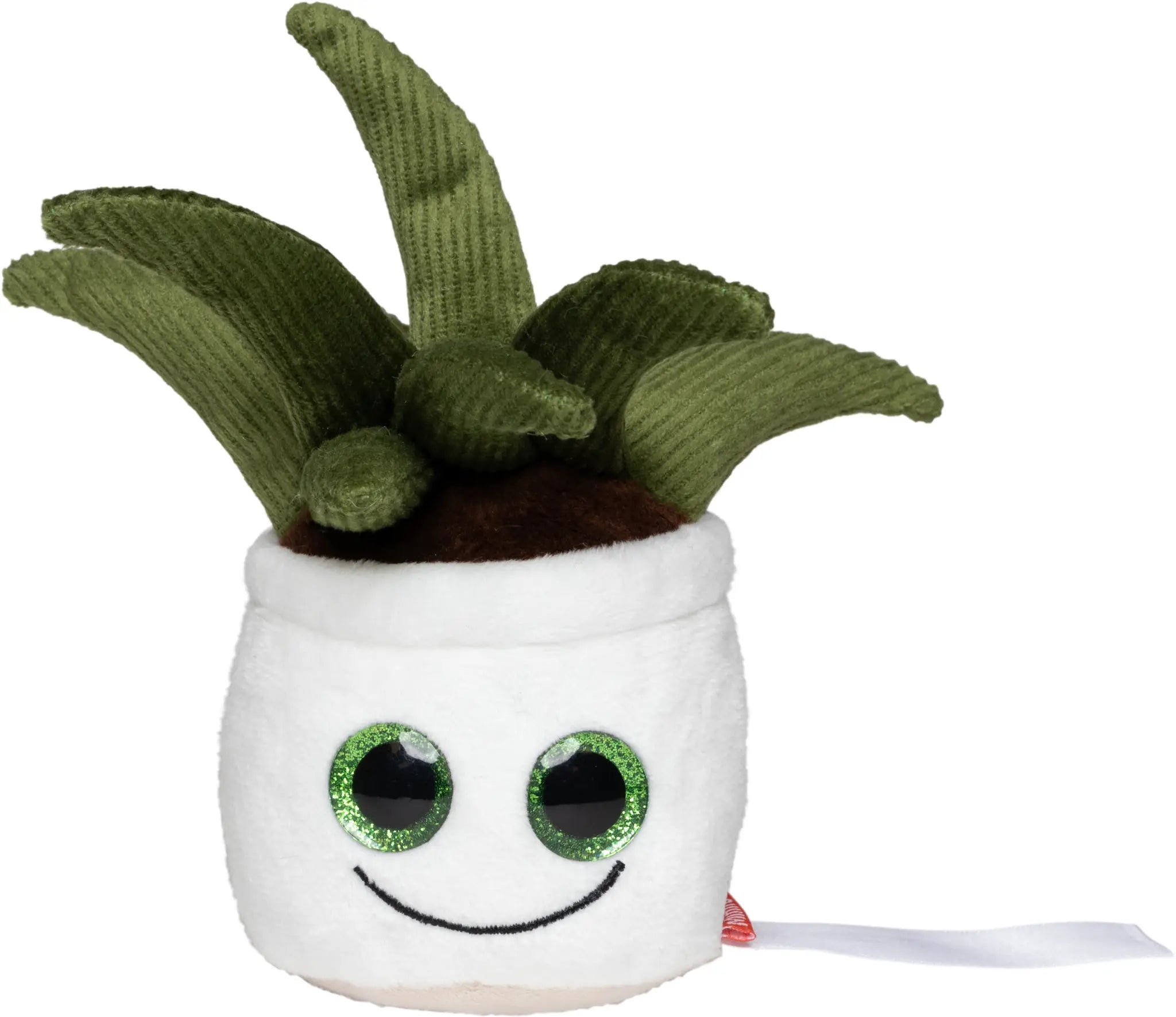 all-groups Schmoozies Evergreenies Aloe Vera