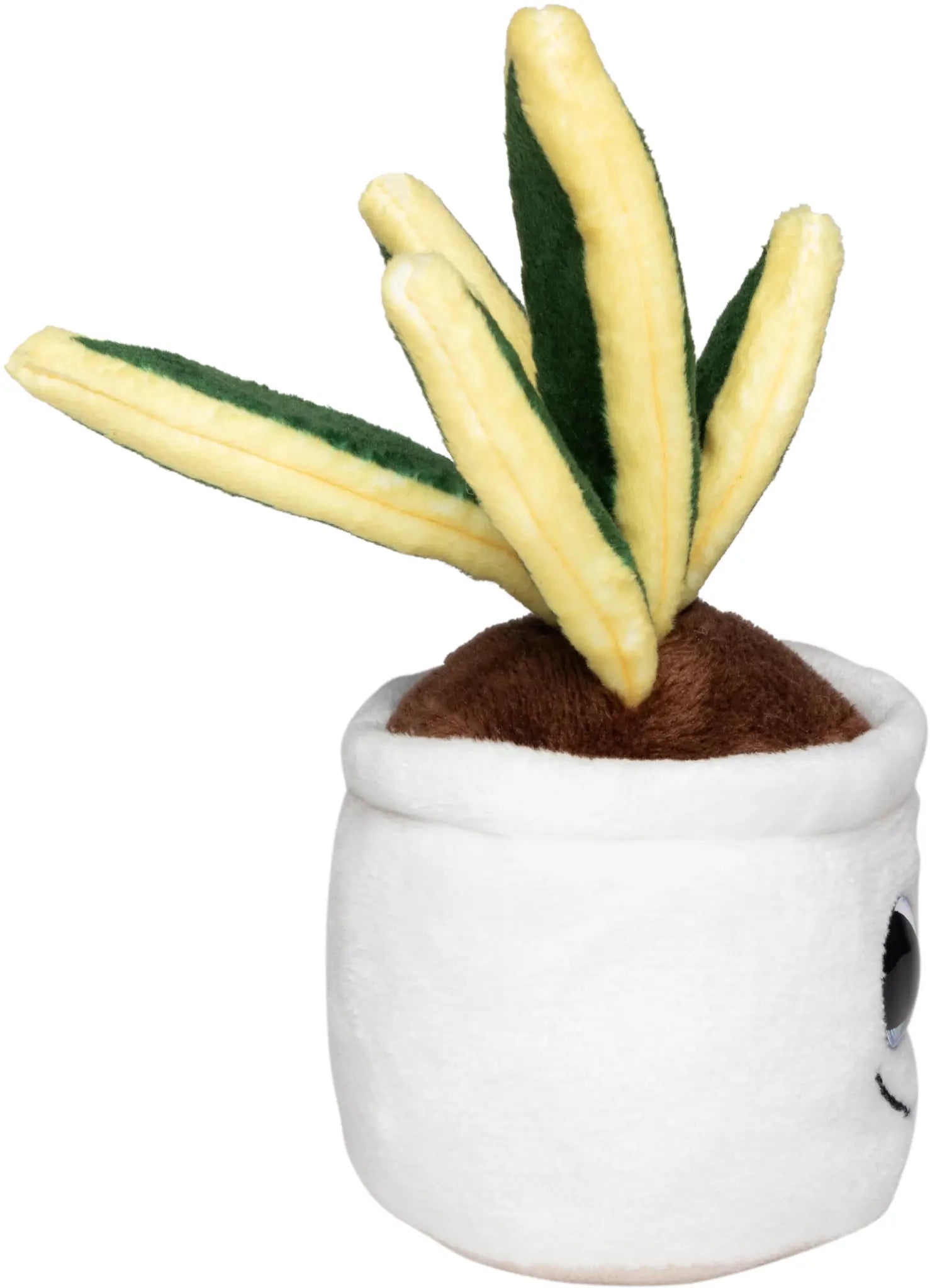 all-groups Schmoozies Evergreenies Bow Hemp