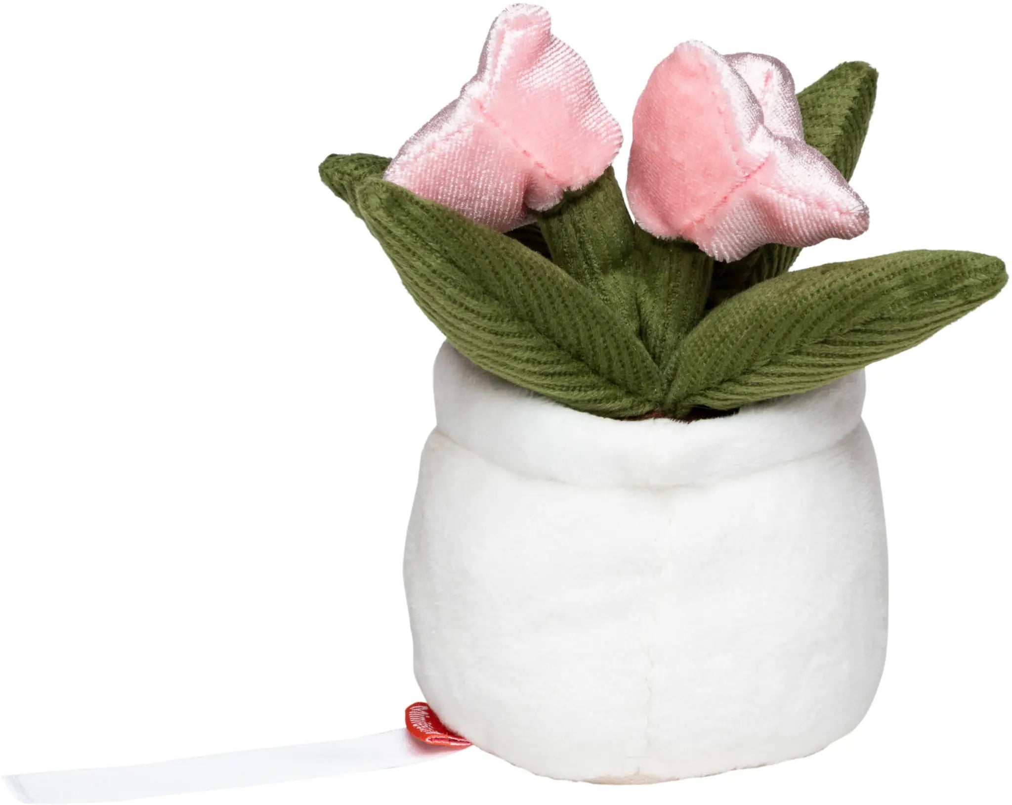 all-groups Schmoozies Evergreenies Tulip