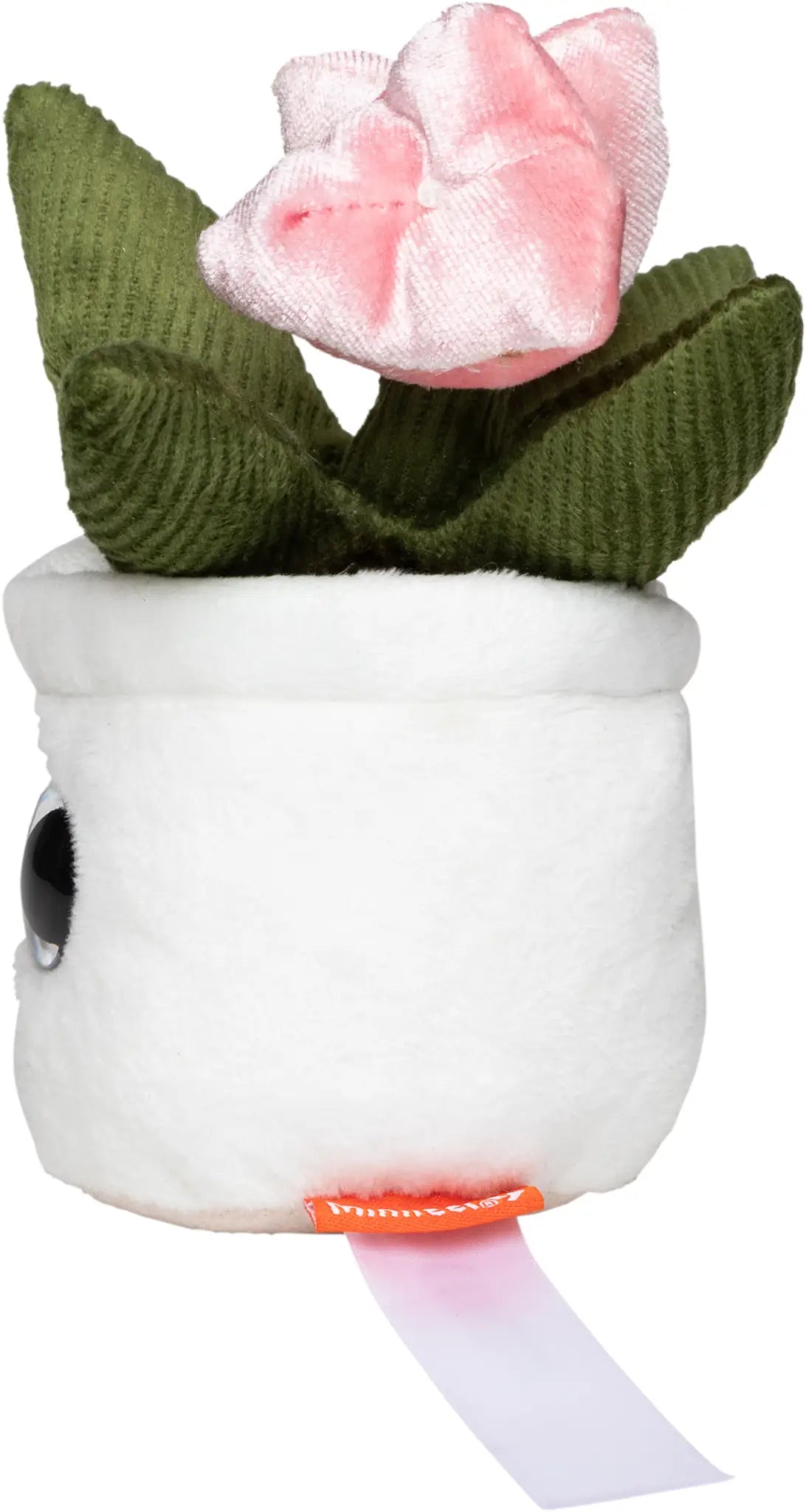 all-groups Schmoozies Evergreenies Tulip