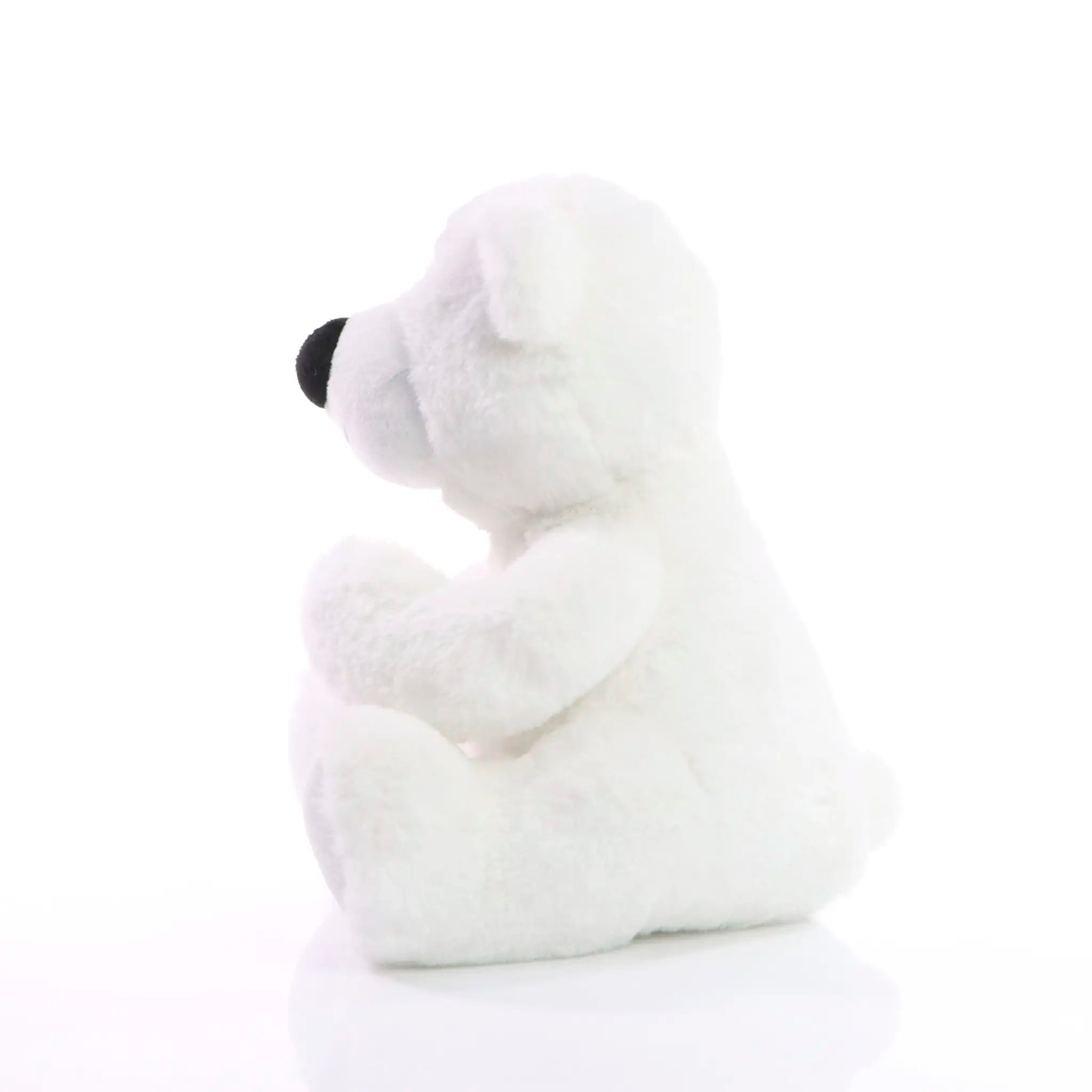 319fe327b2799803a12428f287c94421