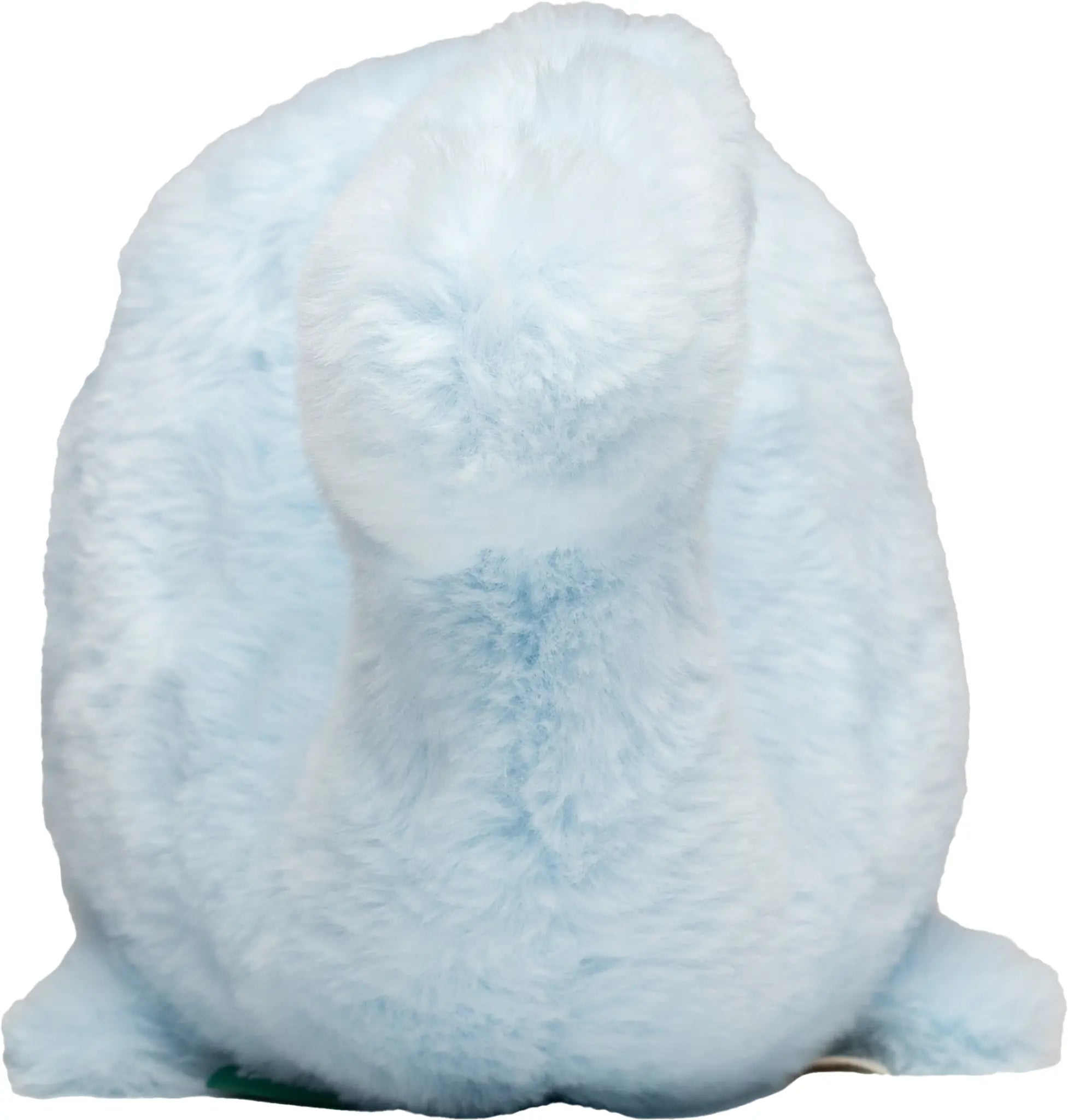 all-groups Recycle Whale