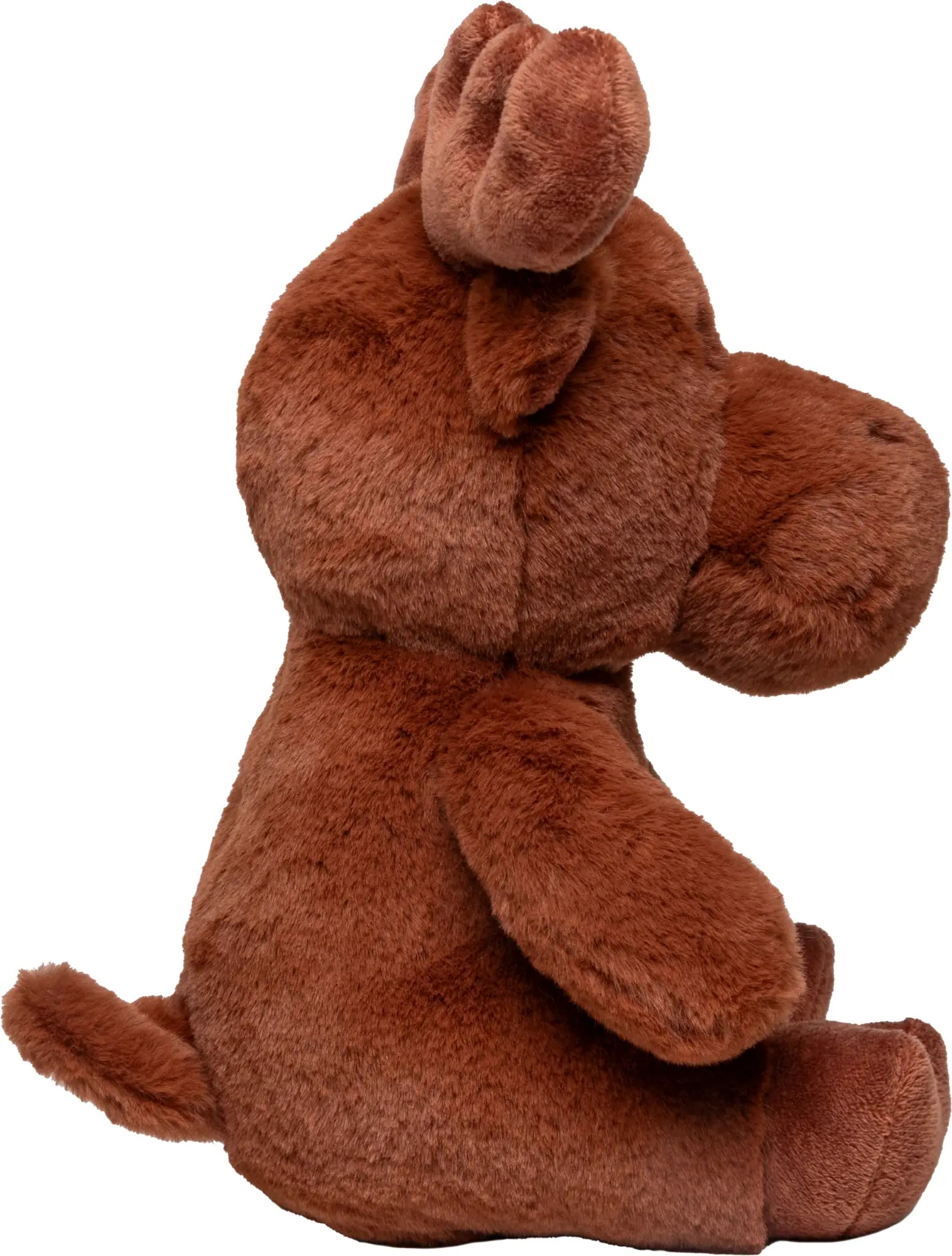 9e08bca528b393539d5a68cdb771eef9