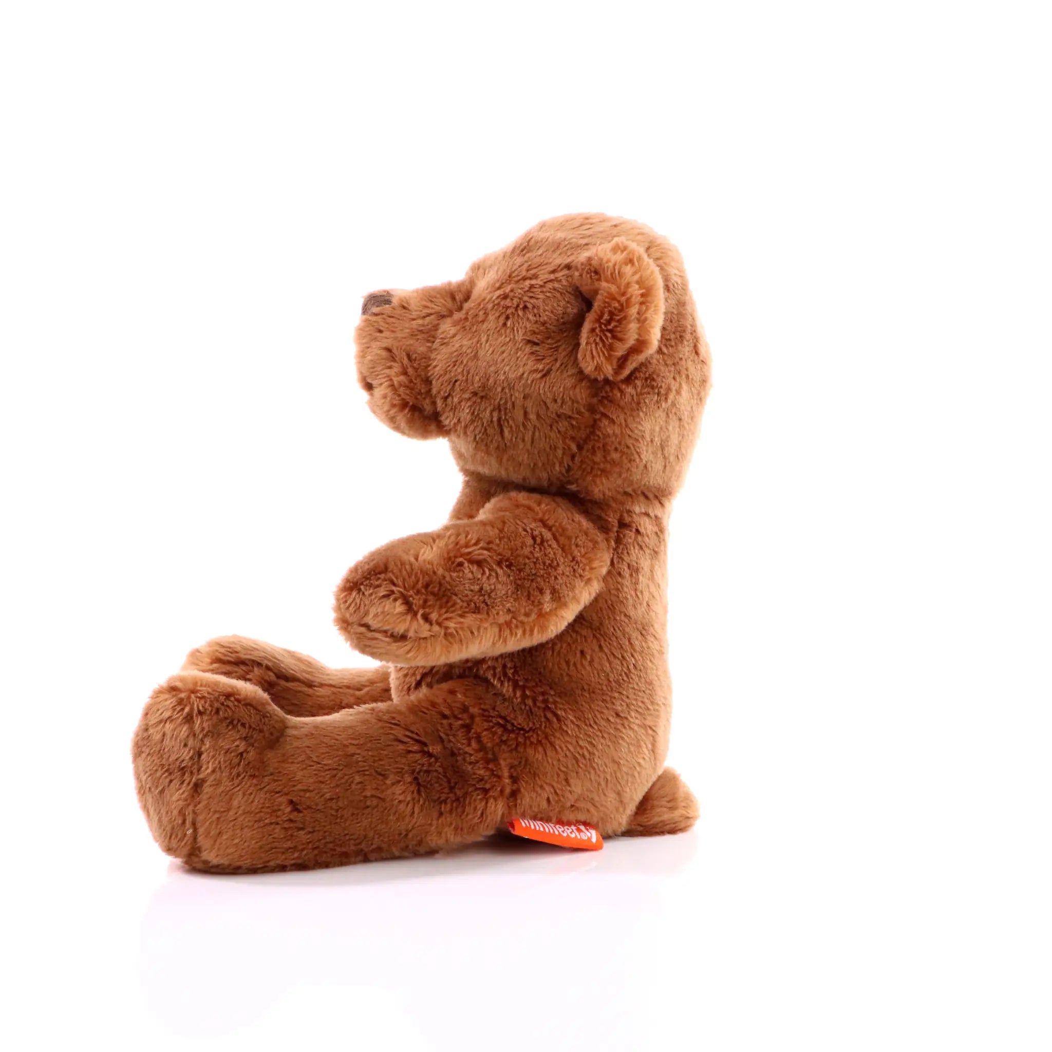 all-groups MiniFeet Plush Bear Ben