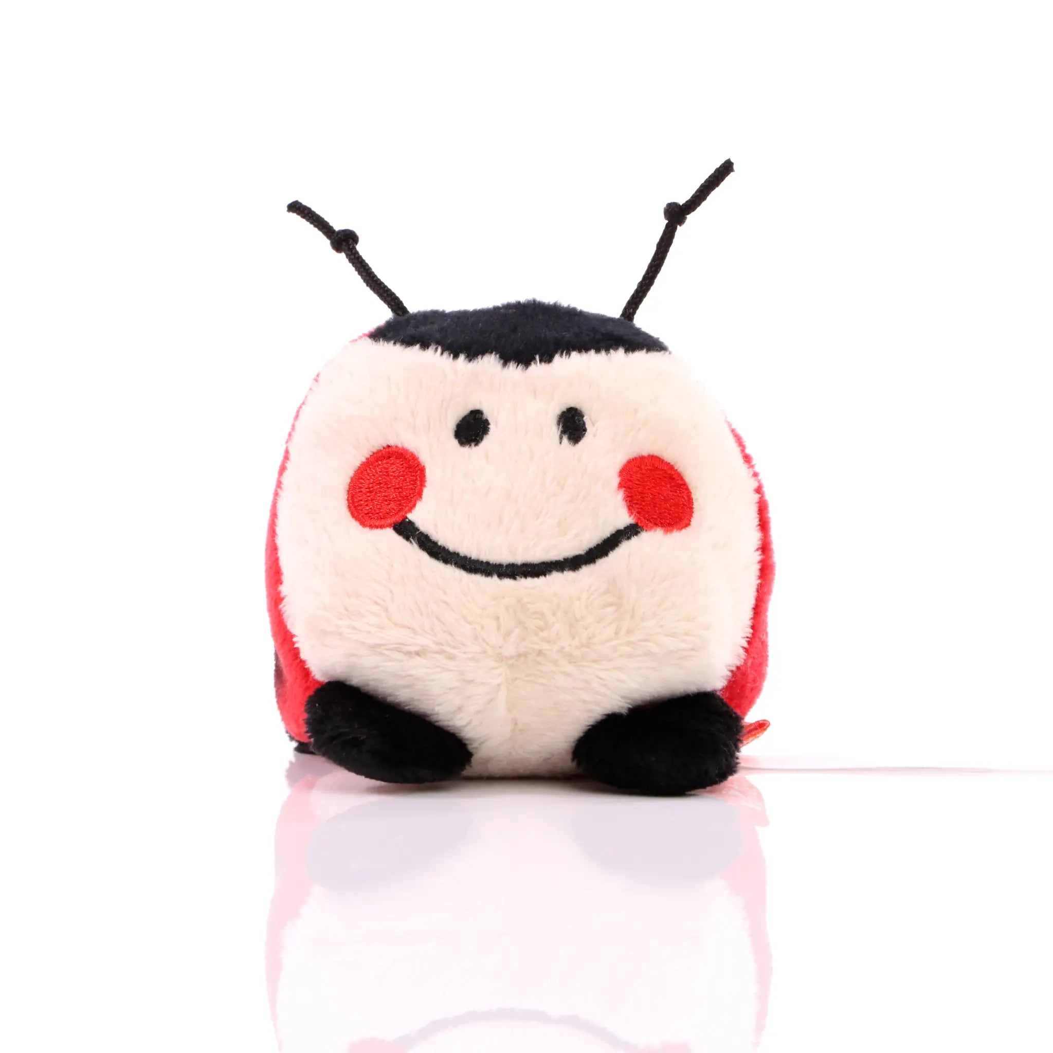 all-groups Schmoozies Ladybird