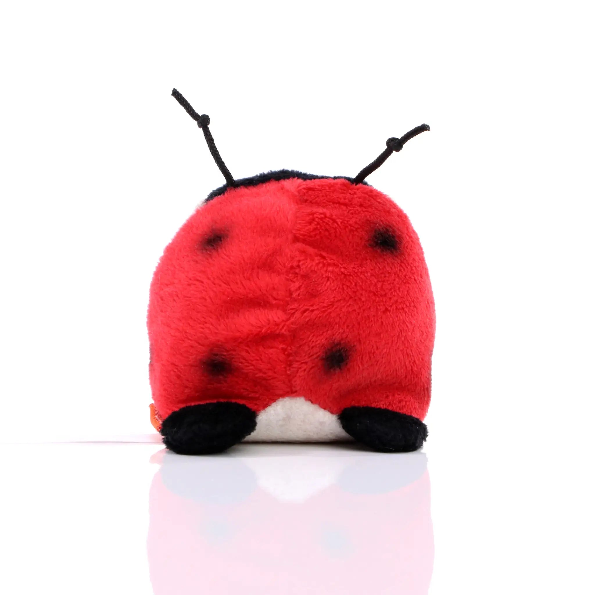 all-groups Schmoozies Ladybird