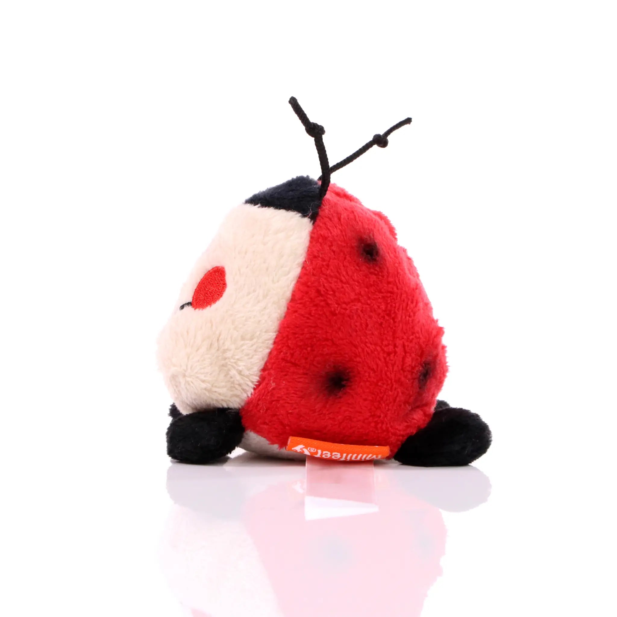 all-groups Schmoozies Ladybird