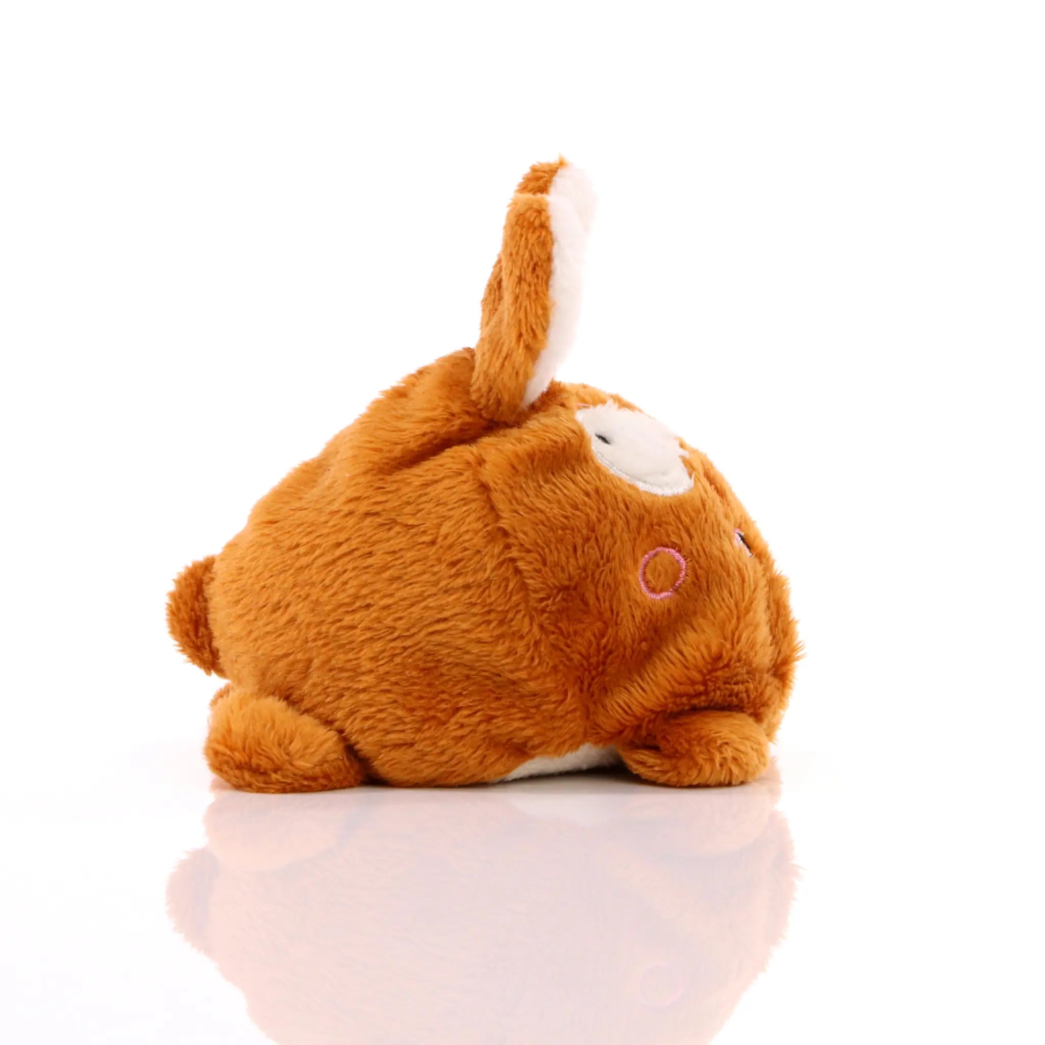 all-groups Schmoozies Rabbit