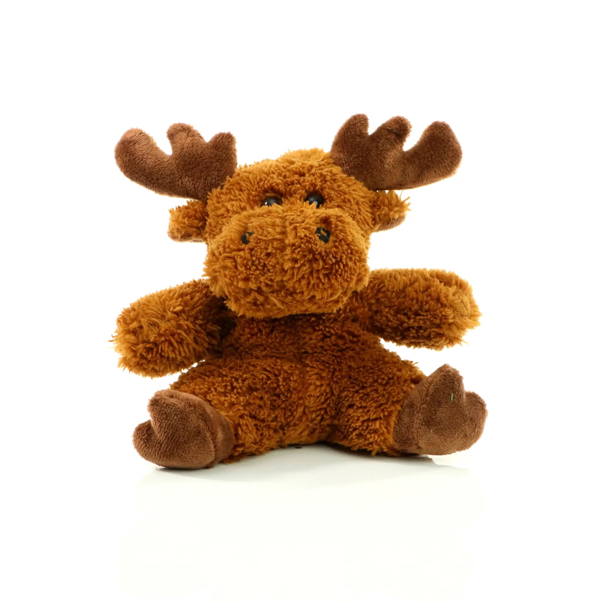 all-groups MiniFeet Moose Caro