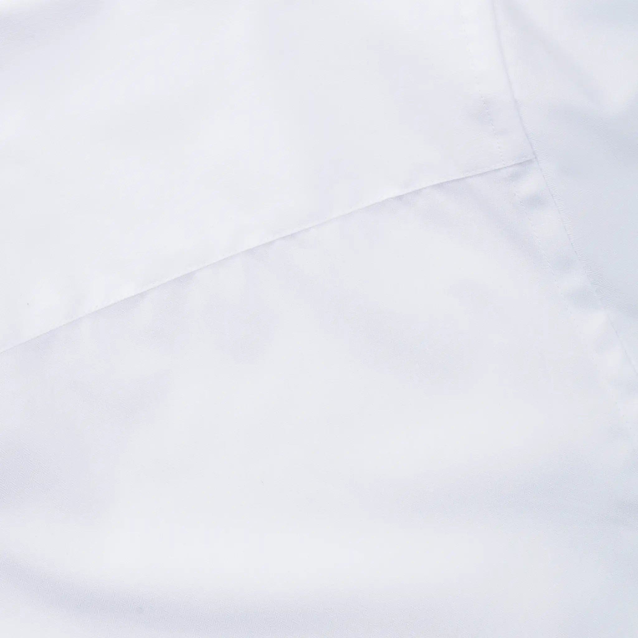 all-groups Women's Long Sleeve Tailored Herringbone Shirt