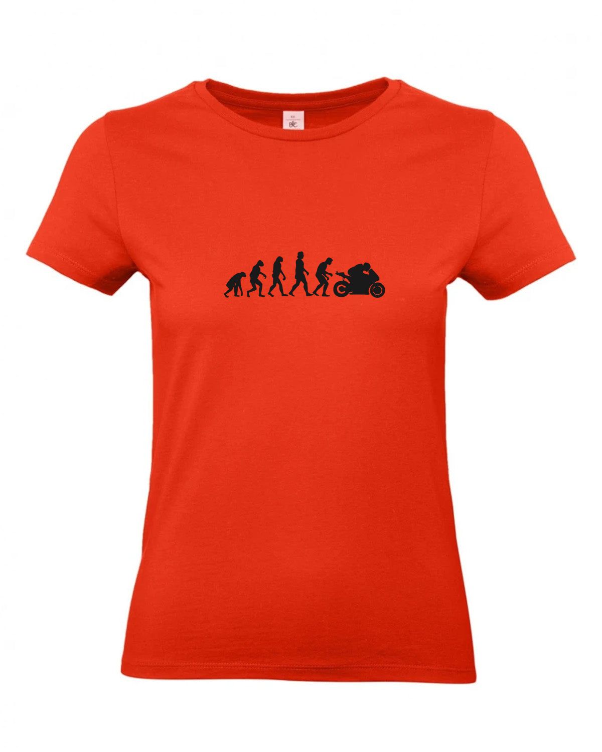 bundle-src:https://cdn.shopify.com/s/files/1/0946/1078/4639/files/TW04T_P_BC_007_01.jpg?v=1772459365