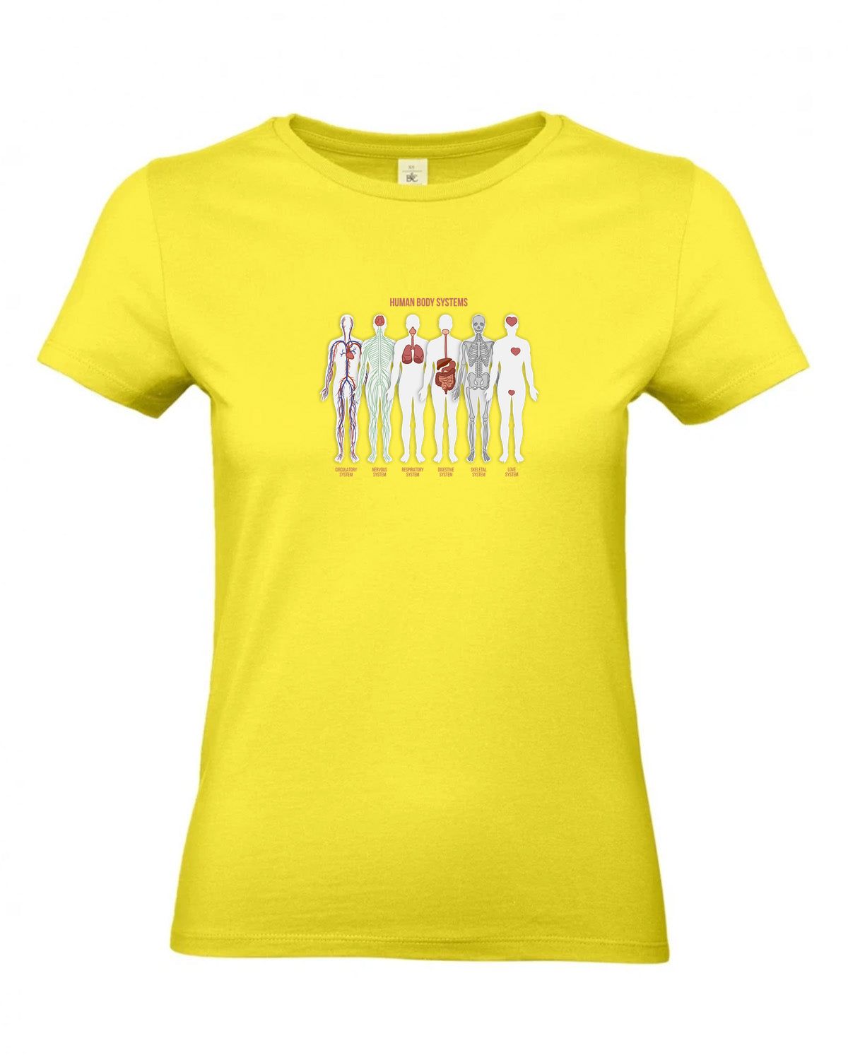 bundle-src:https://cdn.shopify.com/s/files/1/0946/1078/4639/files/TW04T_P_BC_201_01.jpg?v=1772459365