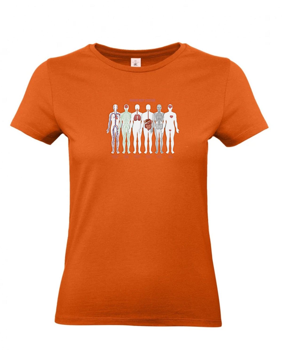 bundle-src:https://cdn.shopify.com/s/files/1/0946/1078/4639/files/TW04T_P_BC_231_01.jpg?v=1772459365