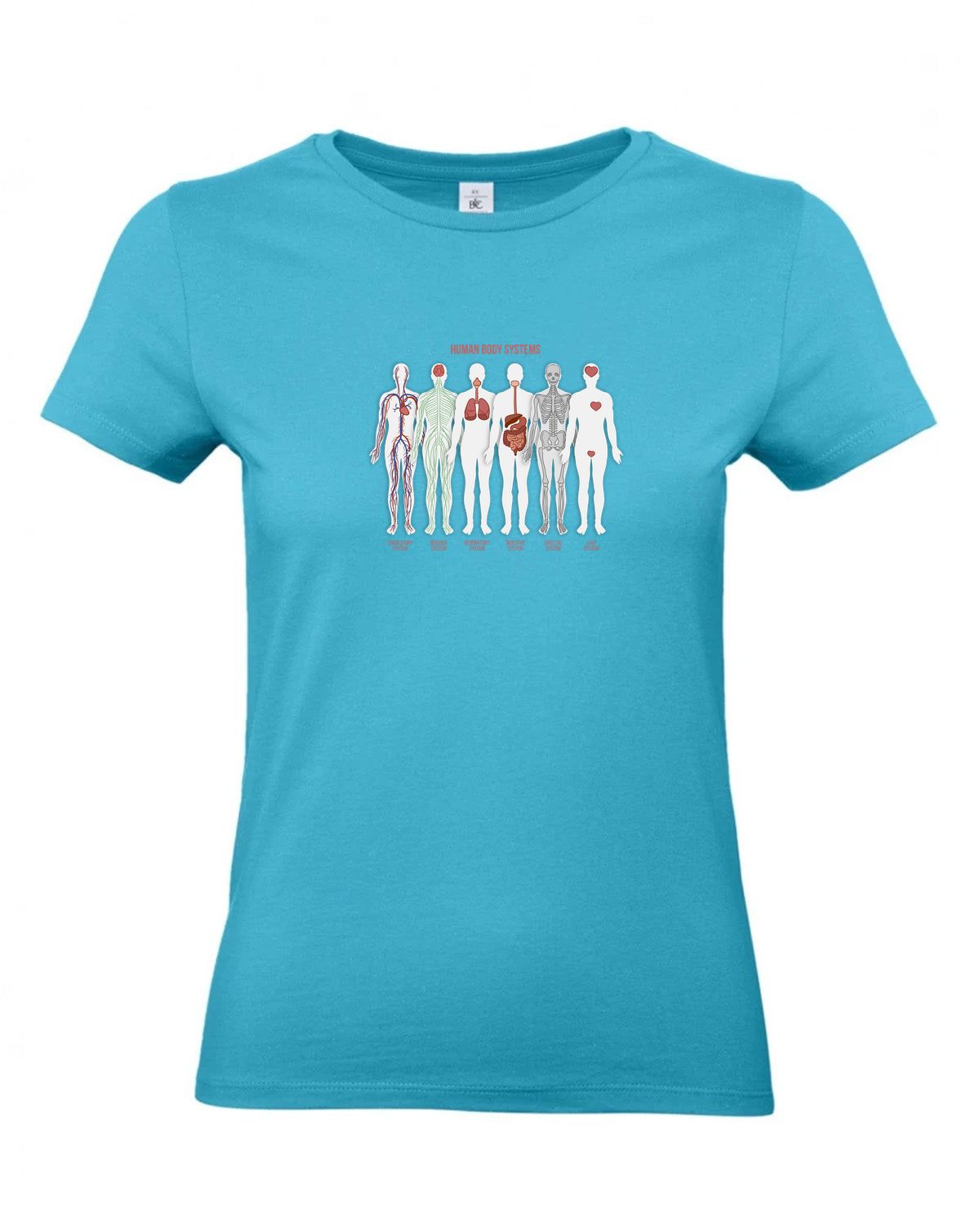 bundle-src:https://cdn.shopify.com/s/files/1/0946/1078/4639/files/TW04T_P_BC_442_01.jpg?v=1772459365