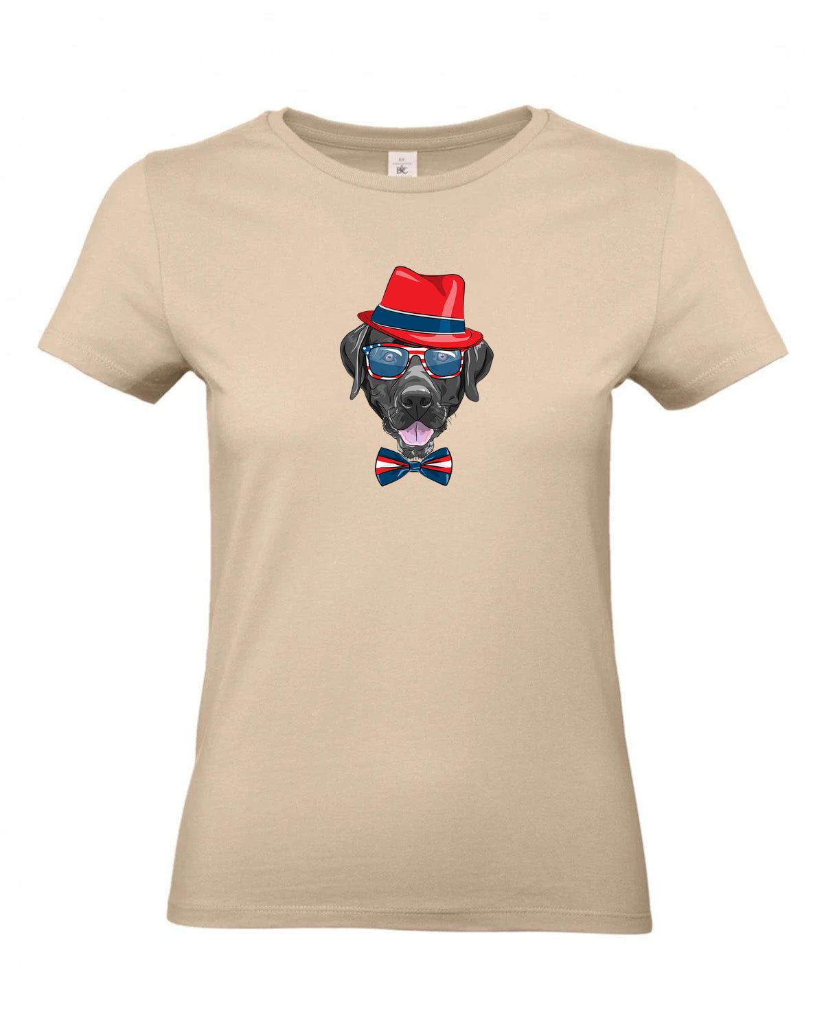 bundle-src:https://cdn.shopify.com/s/files/1/0946/1078/4639/files/TW04T_P_BC_120_01.jpg?v=1772459365