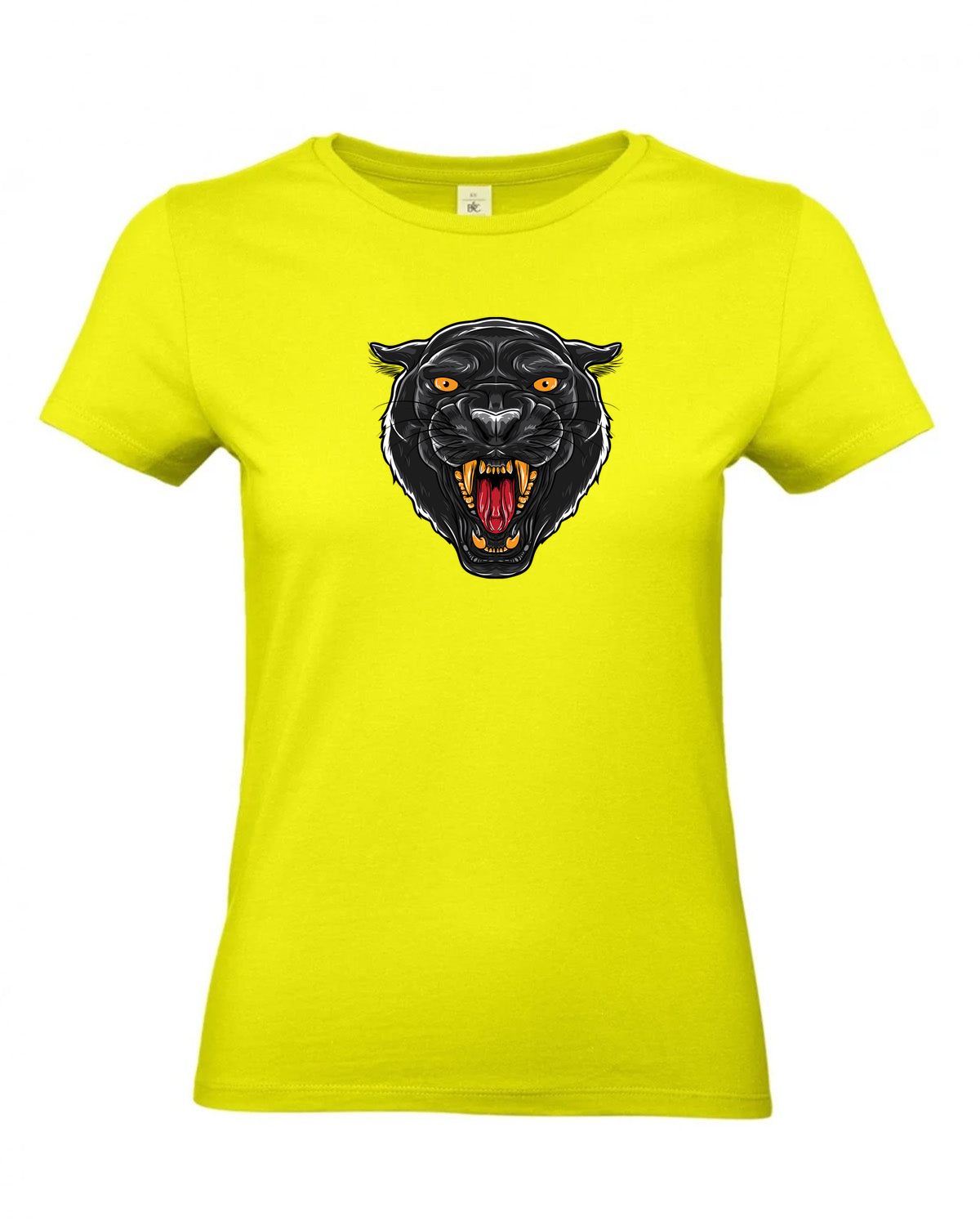 bundle-src:https://cdn.shopify.com/s/files/1/0946/1078/4639/files/TW04T_P_BC_986_01.jpg?v=1772459365