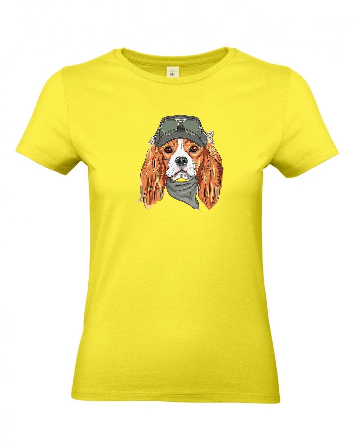 bundle-src:https://cdn.shopify.com/s/files/1/0946/1078/4639/files/TW04T_P_BC_201_01.jpg?v=1772459365