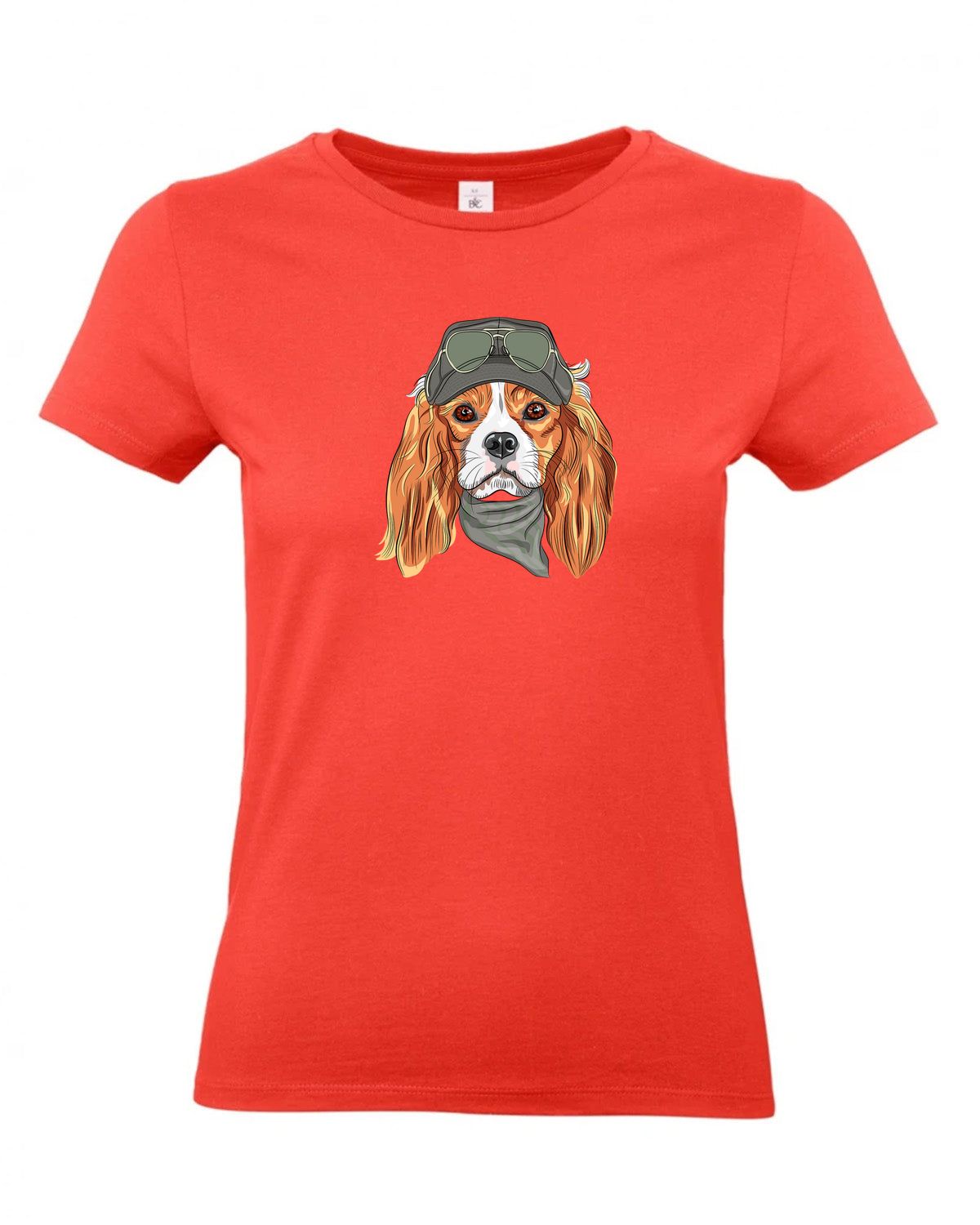 bundle-src:https://cdn.shopify.com/s/files/1/0946/1078/4639/files/TW04T_P_BC_236_01.jpg?v=1772459365