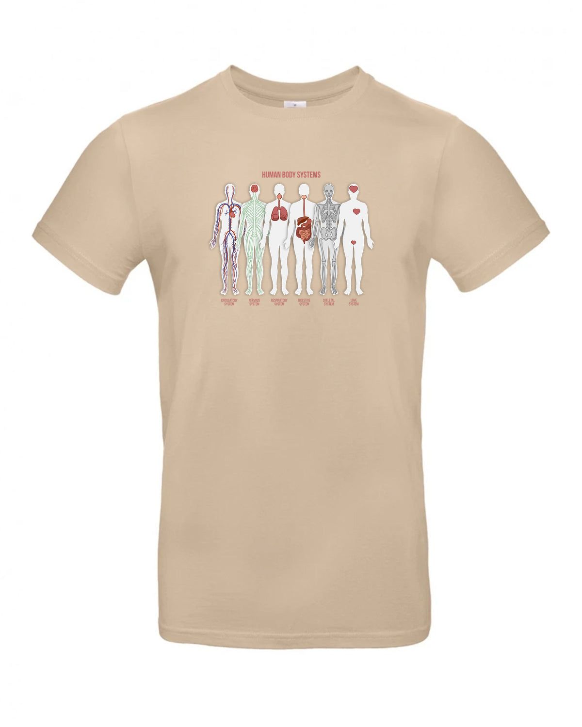 bundle-src:https://cdn.shopify.com/s/files/1/0946/1078/4639/files/TU03T_P_BC_120_01.jpg?v=1772523893