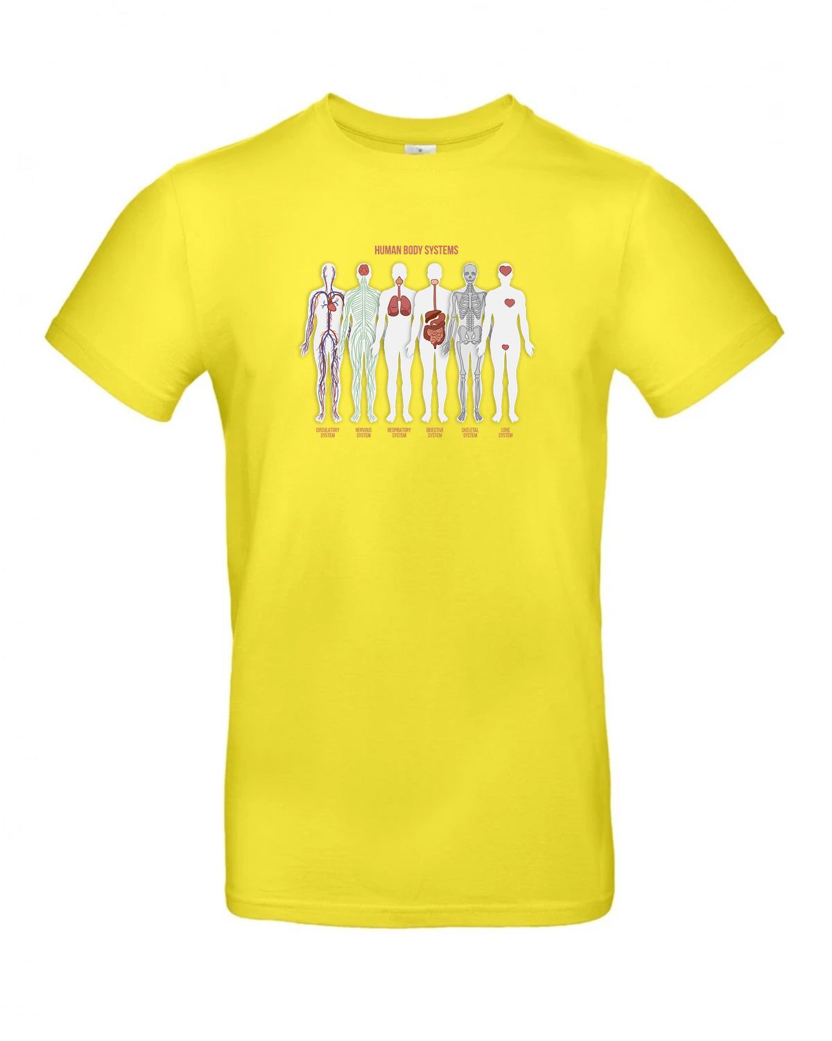 bundle-src:https://cdn.shopify.com/s/files/1/0946/1078/4639/files/TU03T_P_BC_201_01.jpg?v=1772523893