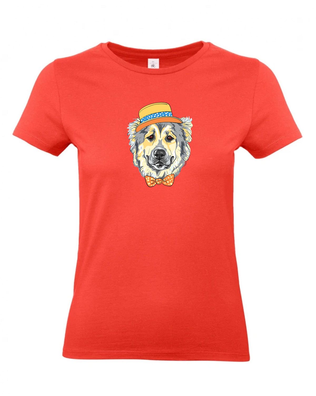 bundle-src:https://cdn.shopify.com/s/files/1/0946/1078/4639/files/TW04T_P_BC_236_01.jpg?v=1772459365