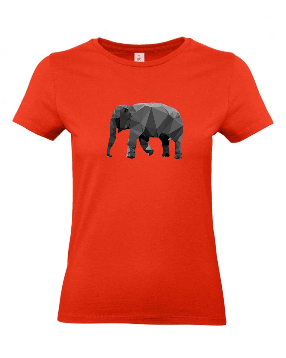 bundle-src:https://cdn.shopify.com/s/files/1/0946/1078/4639/files/TW04T_P_BC_007_01.jpg?v=1772459365