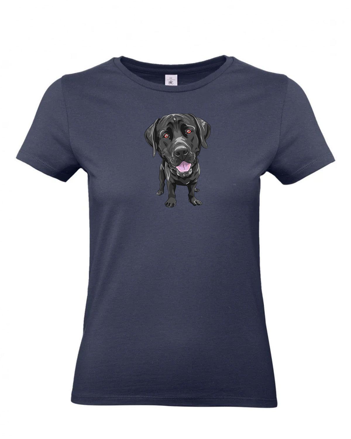 bundle-src:https://cdn.shopify.com/s/files/1/0946/1078/4639/files/TW04T_P_BC_006_01.jpg?v=1772459365