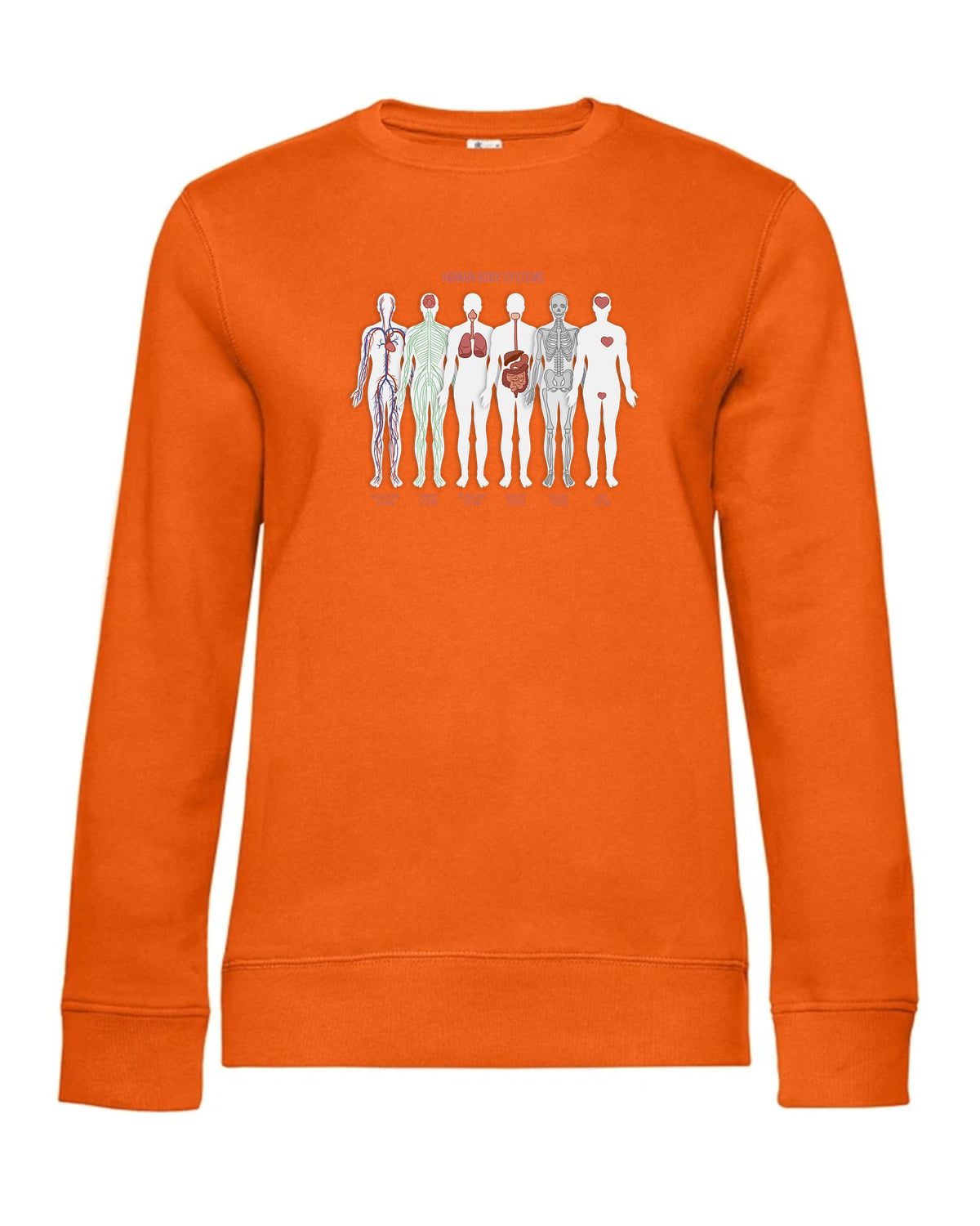 bundle-src:https://cdn.shopify.com/s/files/1/0946/1078/4639/files/WW01Q_P_BC_233_01.jpg?v=1773217929