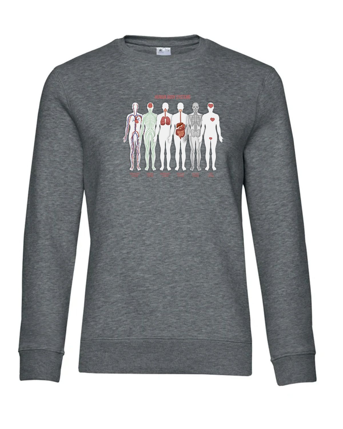 bundle-src:https://cdn.shopify.com/s/files/1/0946/1078/4639/files/WW01Q_P_BC_623_01.jpg?v=1773217929