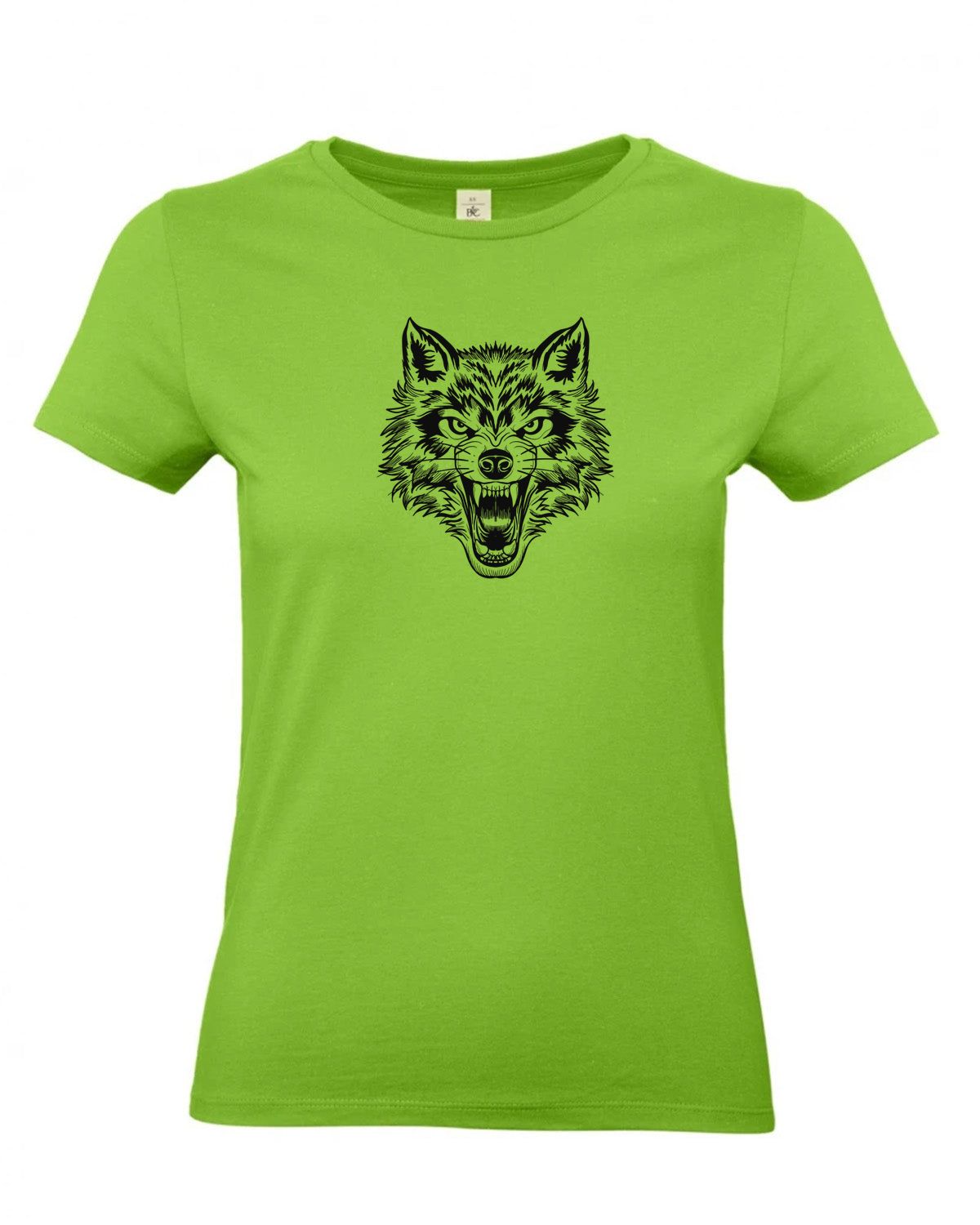 bundle-src:https://cdn.shopify.com/s/files/1/0946/1078/4639/files/TW04T_P_BC_511_01.jpg?v=1772459365