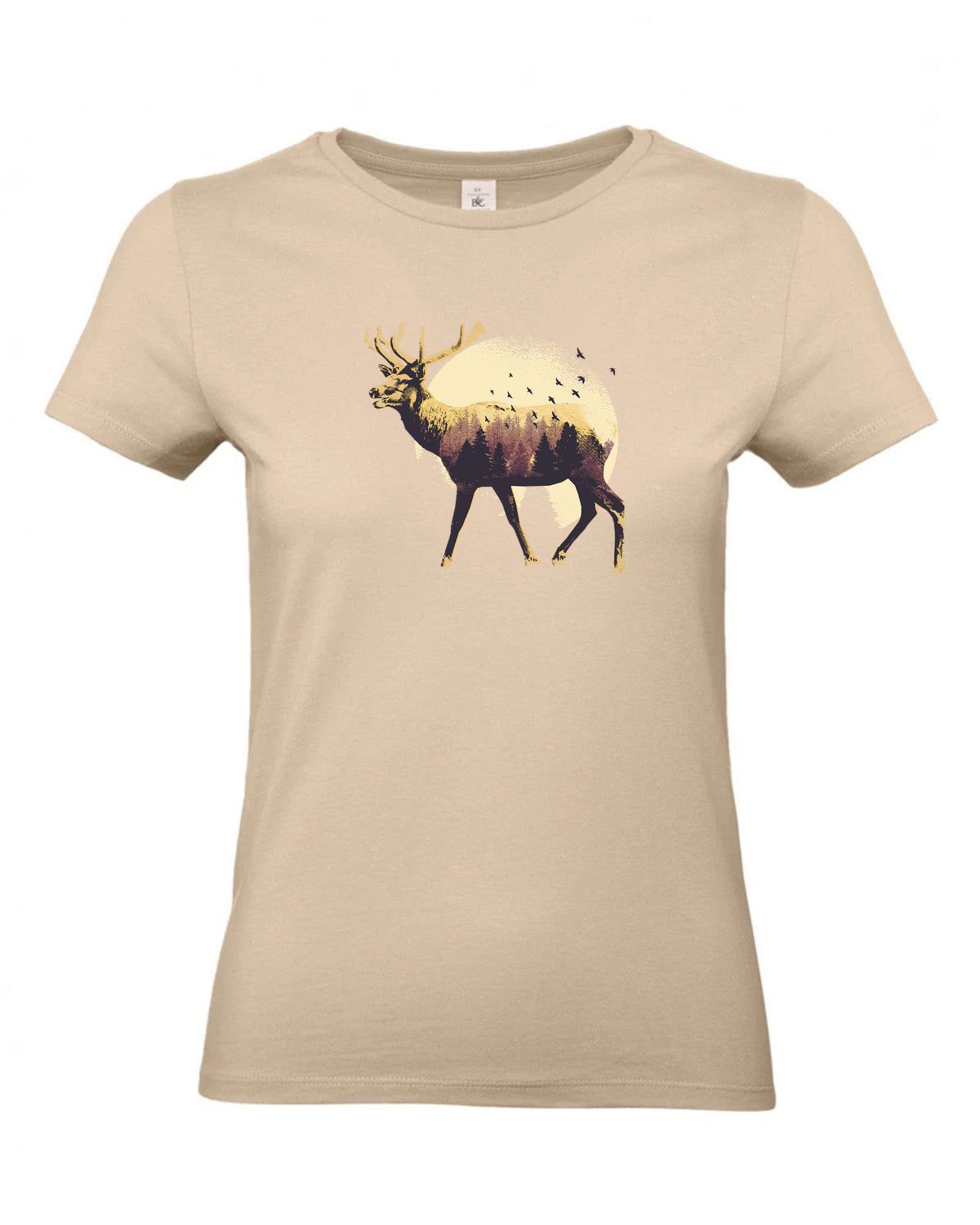 bundle-src:https://cdn.shopify.com/s/files/1/0946/1078/4639/files/TW04T_P_BC_120_01.jpg?v=1772459365