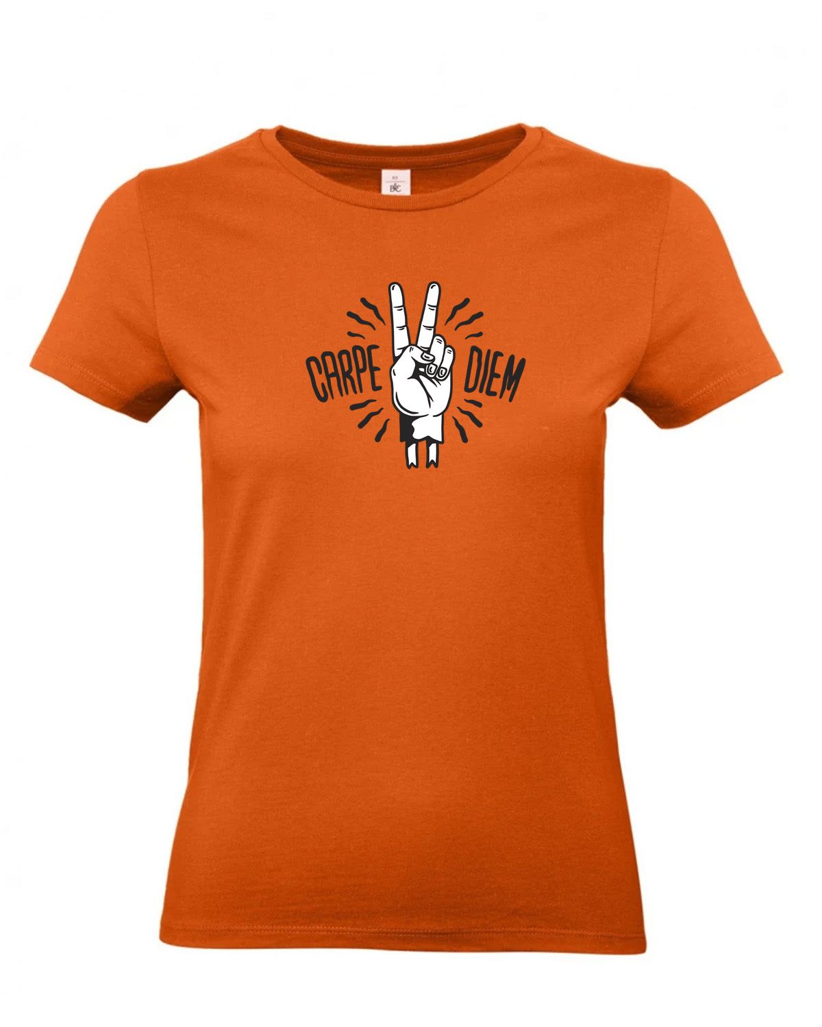 bundle-src:https://cdn.shopify.com/s/files/1/0946/1078/4639/files/TW04T_P_BC_231_01.jpg?v=1772459365