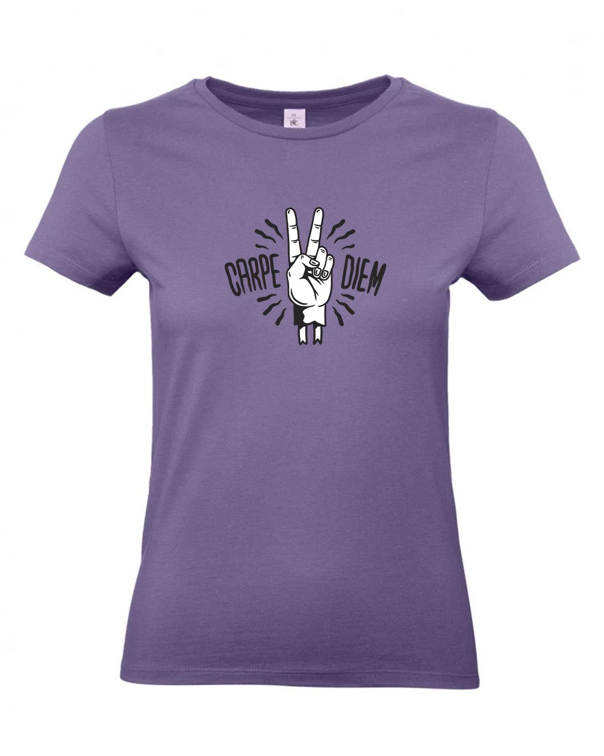 bundle-src:https://cdn.shopify.com/s/files/1/0946/1078/4639/files/TW04T_P_BC_341_01.jpg?v=1772459365