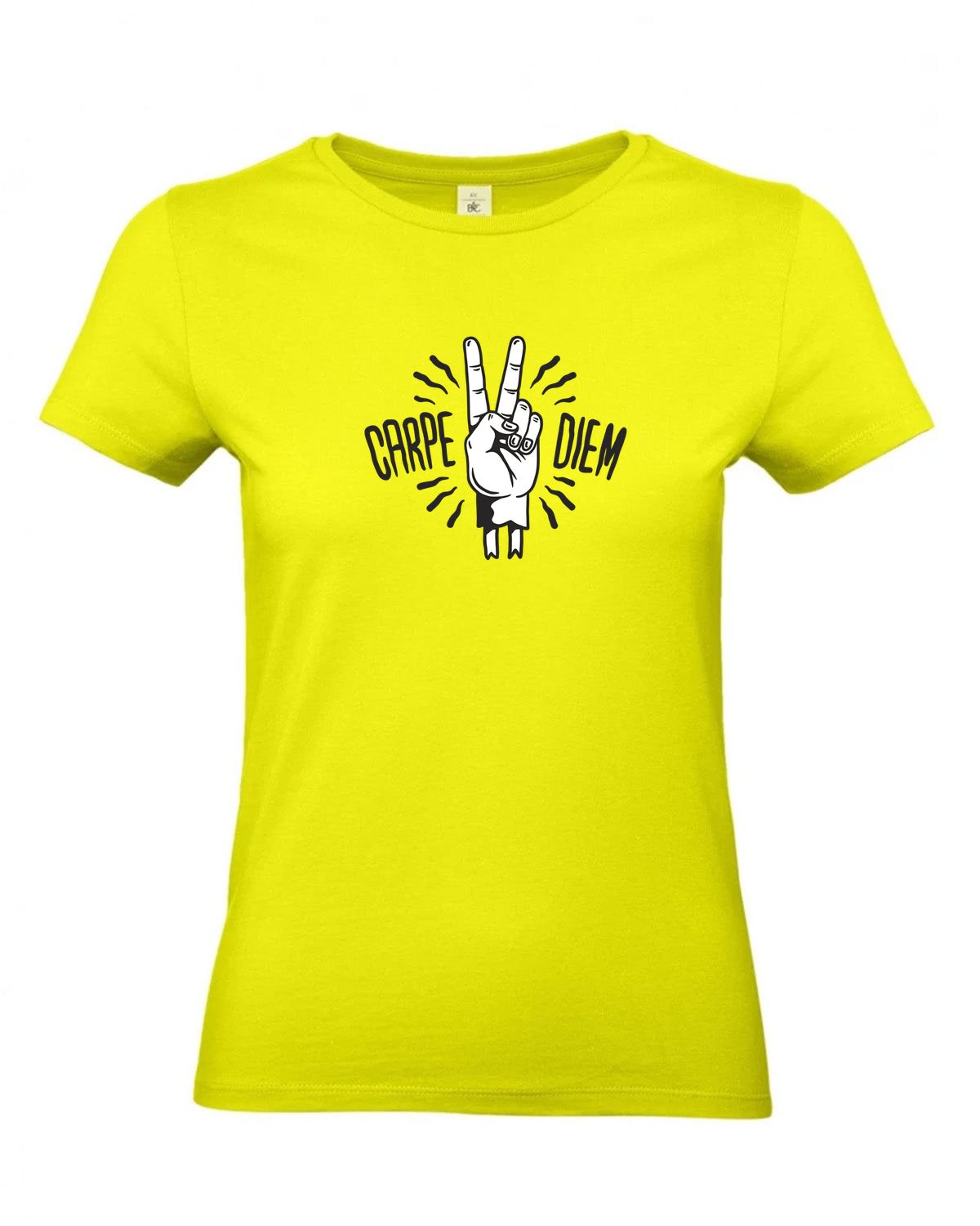 bundle-src:https://cdn.shopify.com/s/files/1/0946/1078/4639/files/TW04T_P_BC_986_01.jpg?v=1772459365