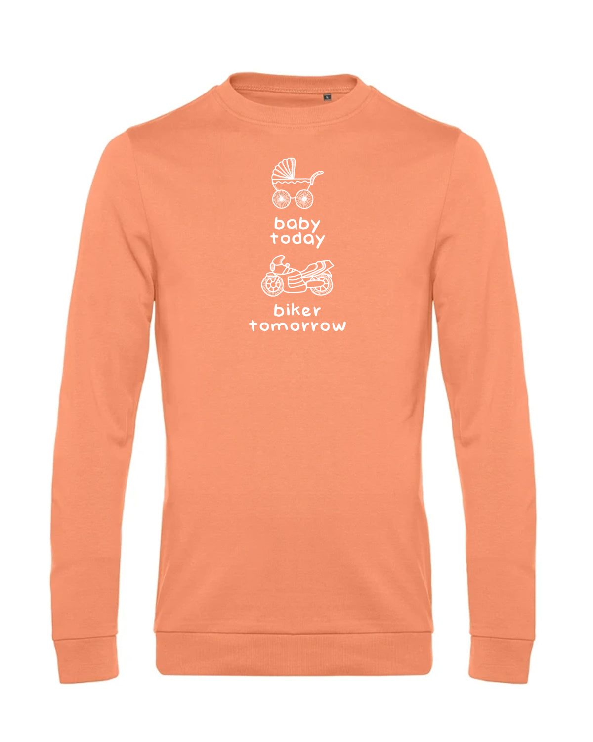 bundle-src:https://cdn.shopify.com/s/files/1/0946/1078/4639/files/WU01W_P_BC_255_01.jpg?v=1772633790