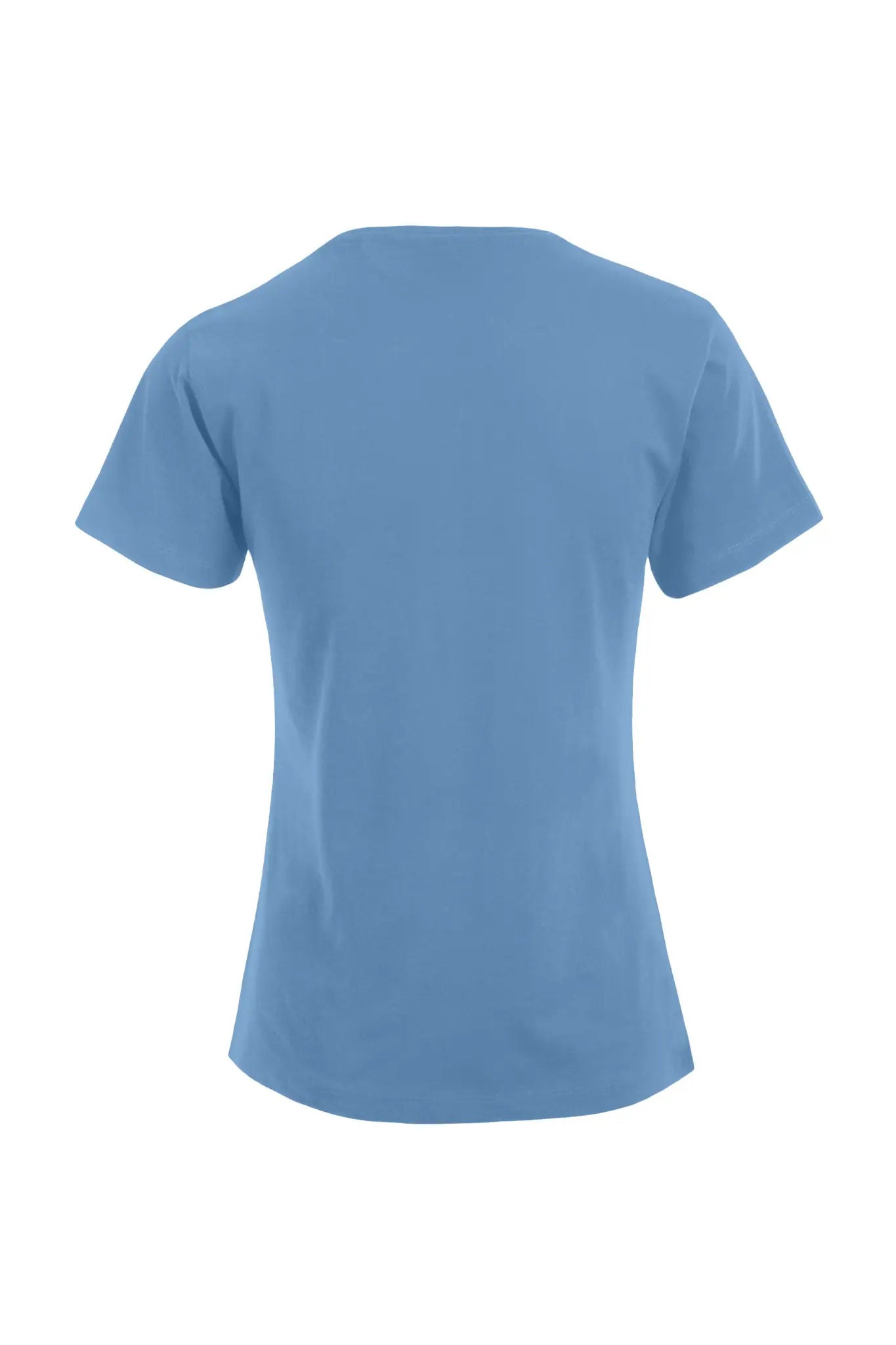 all-groups Women's Premium T