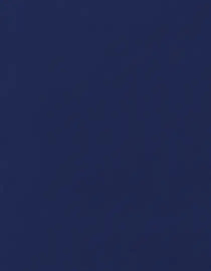 63d920937cce39467b8ebdd256d43499