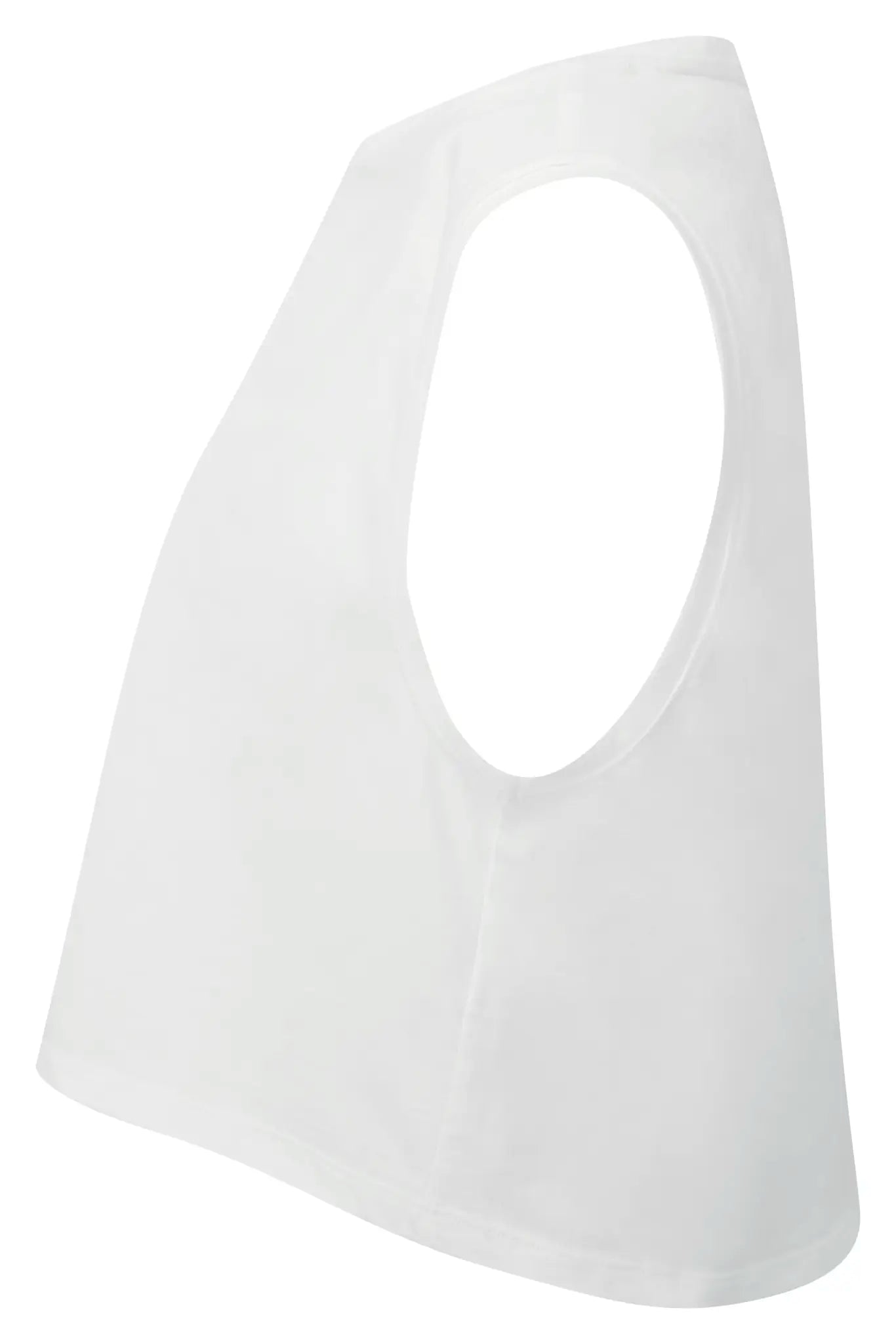 2e03a3f39ed7921302d7cecab2eeb26a