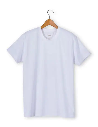 b458bcd338204e6033a5176604d2a144