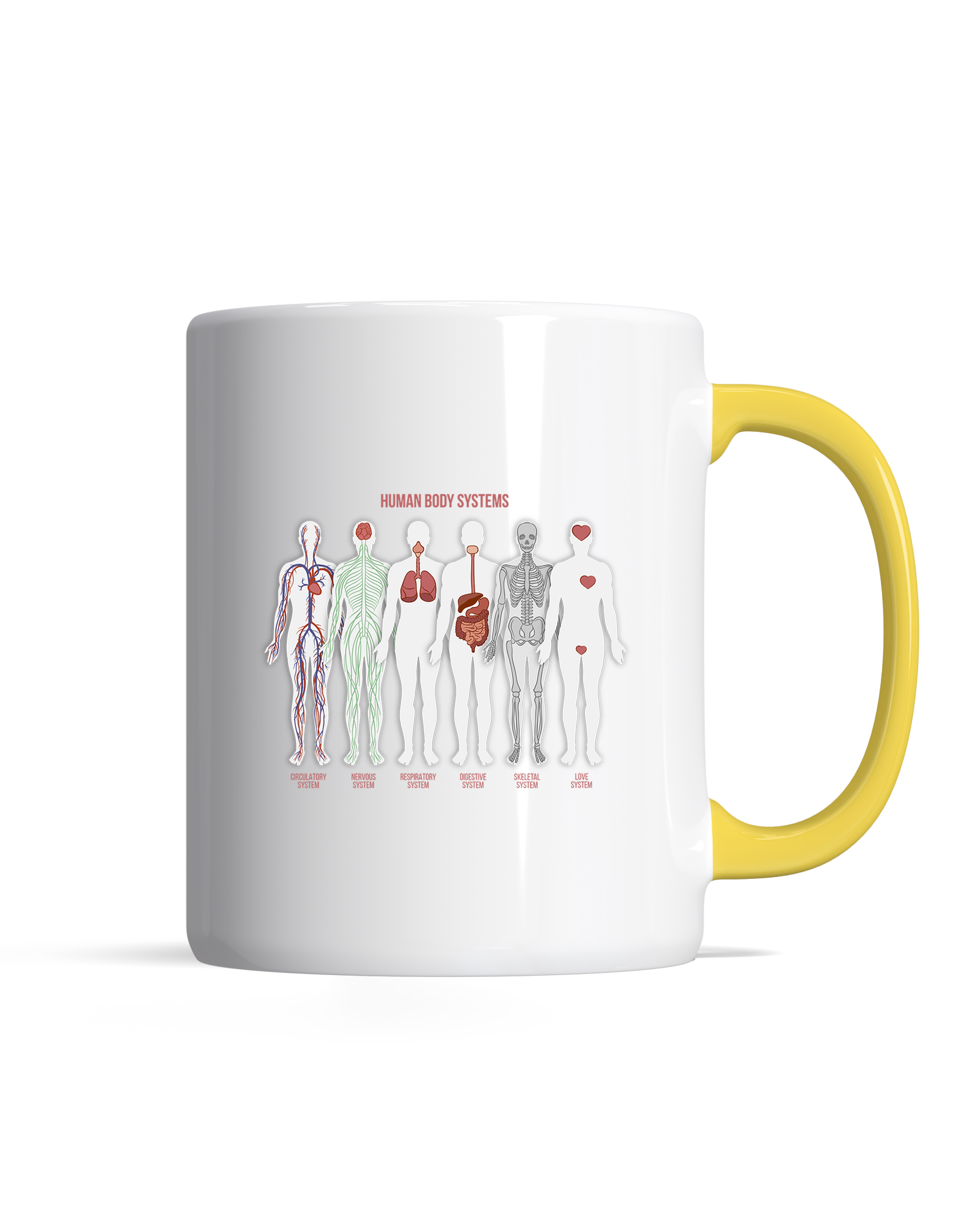 bundle-src:https://cdn.shopify.com/s/files/1/0946/1078/4639/files/Premiummugyellow.png?v=1770895030