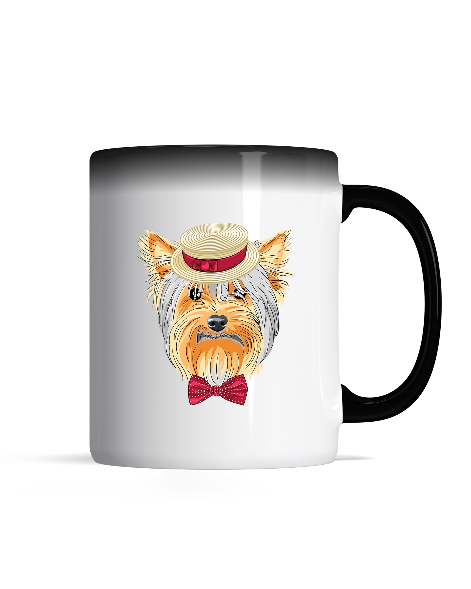 bundle-src:https://cdn.shopify.com/s/files/1/0946/1078/4639/files/Magic_mug_2048x2048.png?v=1771423971