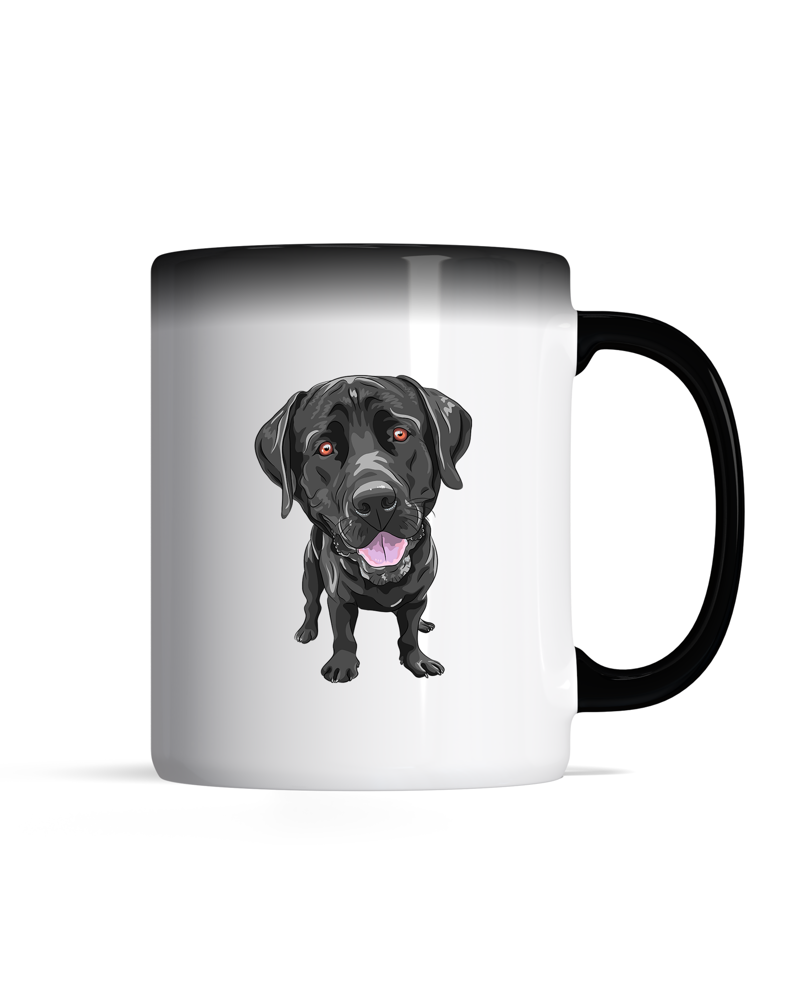 bundle-src:https://cdn.shopify.com/s/files/1/0946/1078/4639/files/Magic_mug_2048x2048.png?v=1771423971