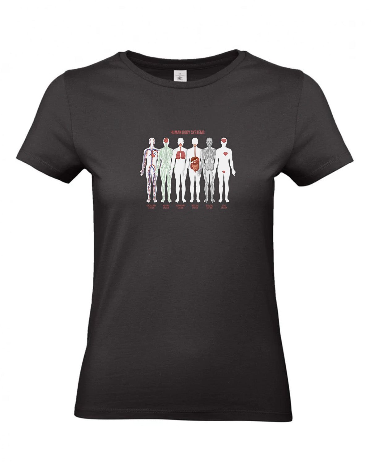 bundle-src:https://cdn.shopify.com/s/files/1/0946/1078/4639/files/TW04T_P_BC_002_01.jpg?v=1772459365